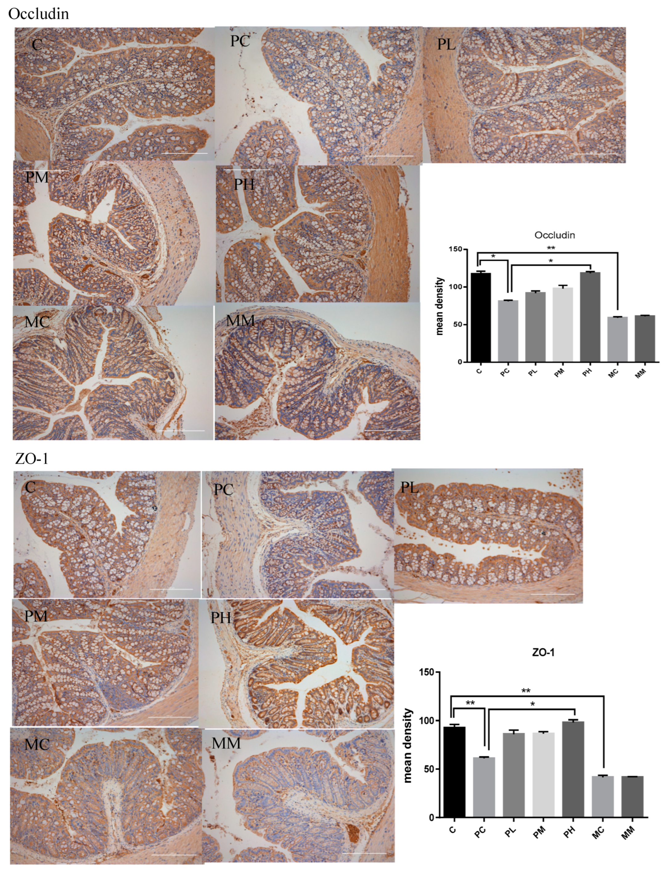 Molecules 28 07611 g005