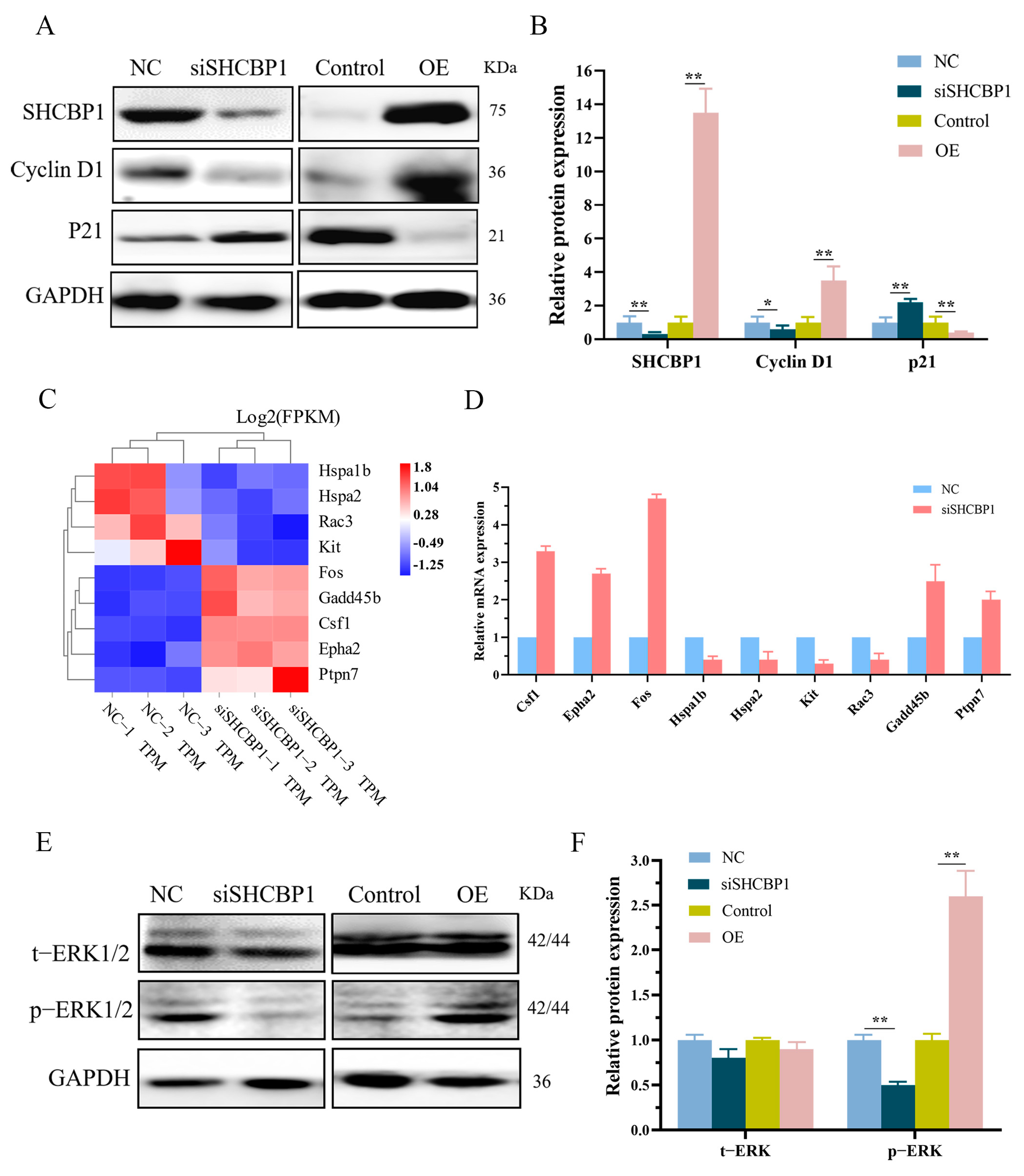 Molecules 28 07614 g005