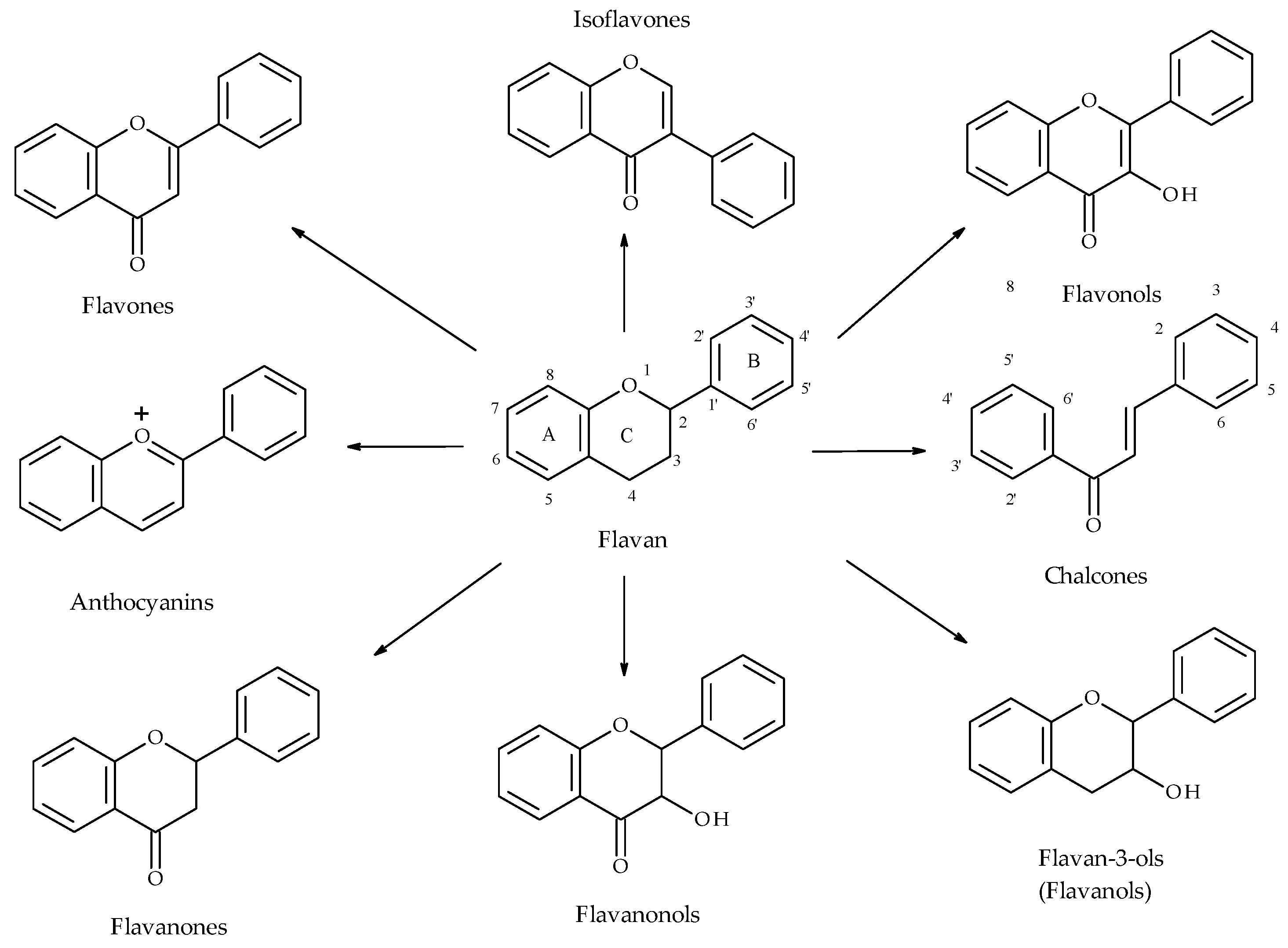 Molecules 28 07618 sch001