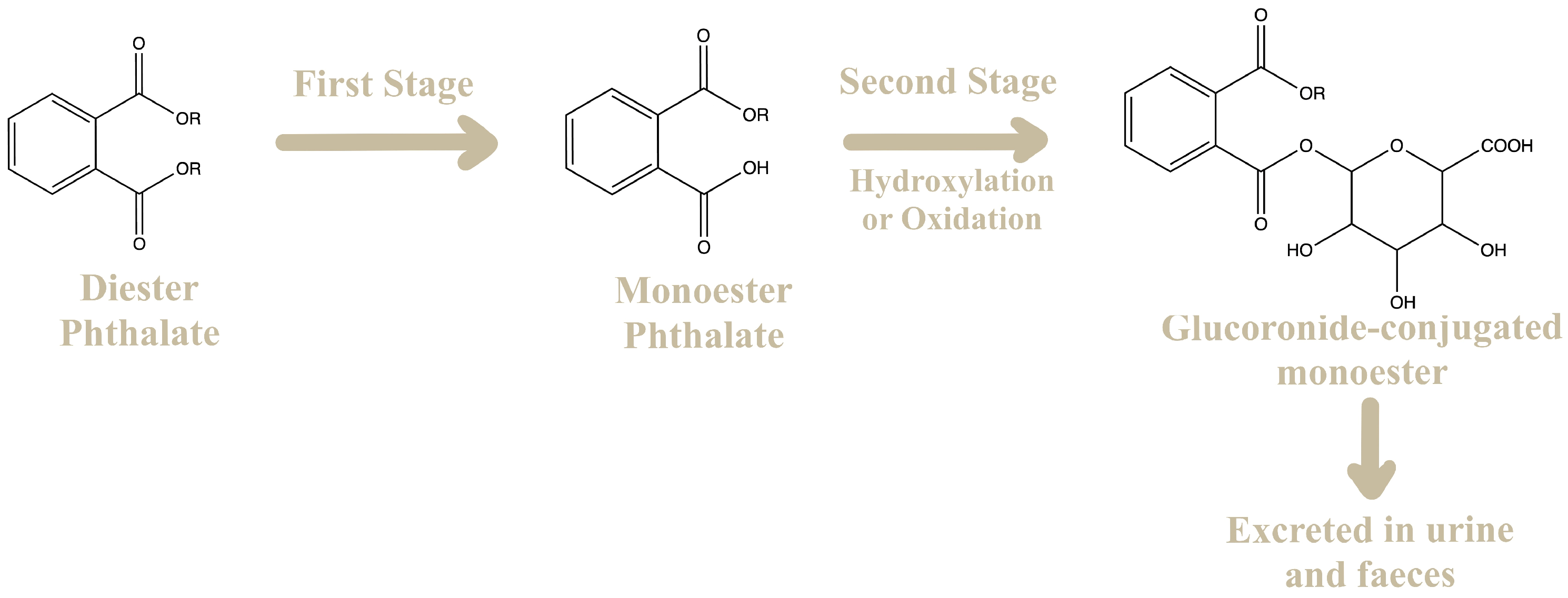 Molecules 28 07628 g003