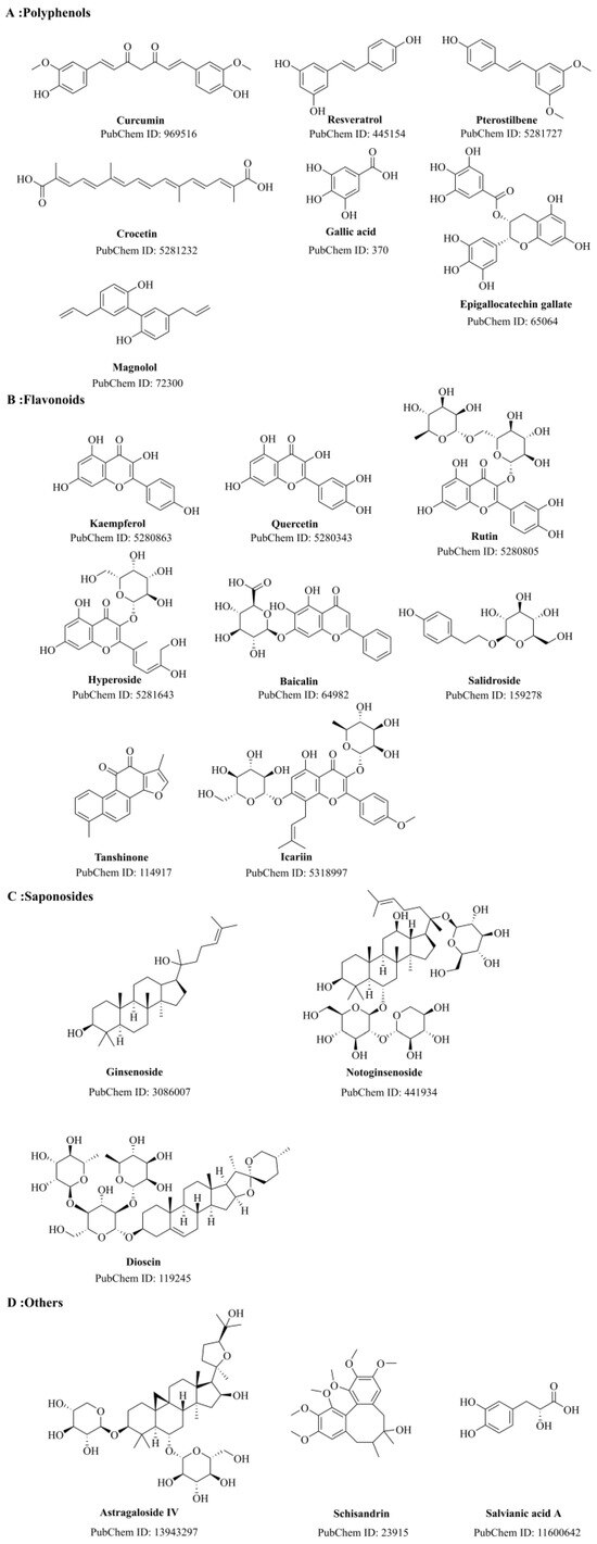 Research Progress on Natural Plant Molecules in Regulating the