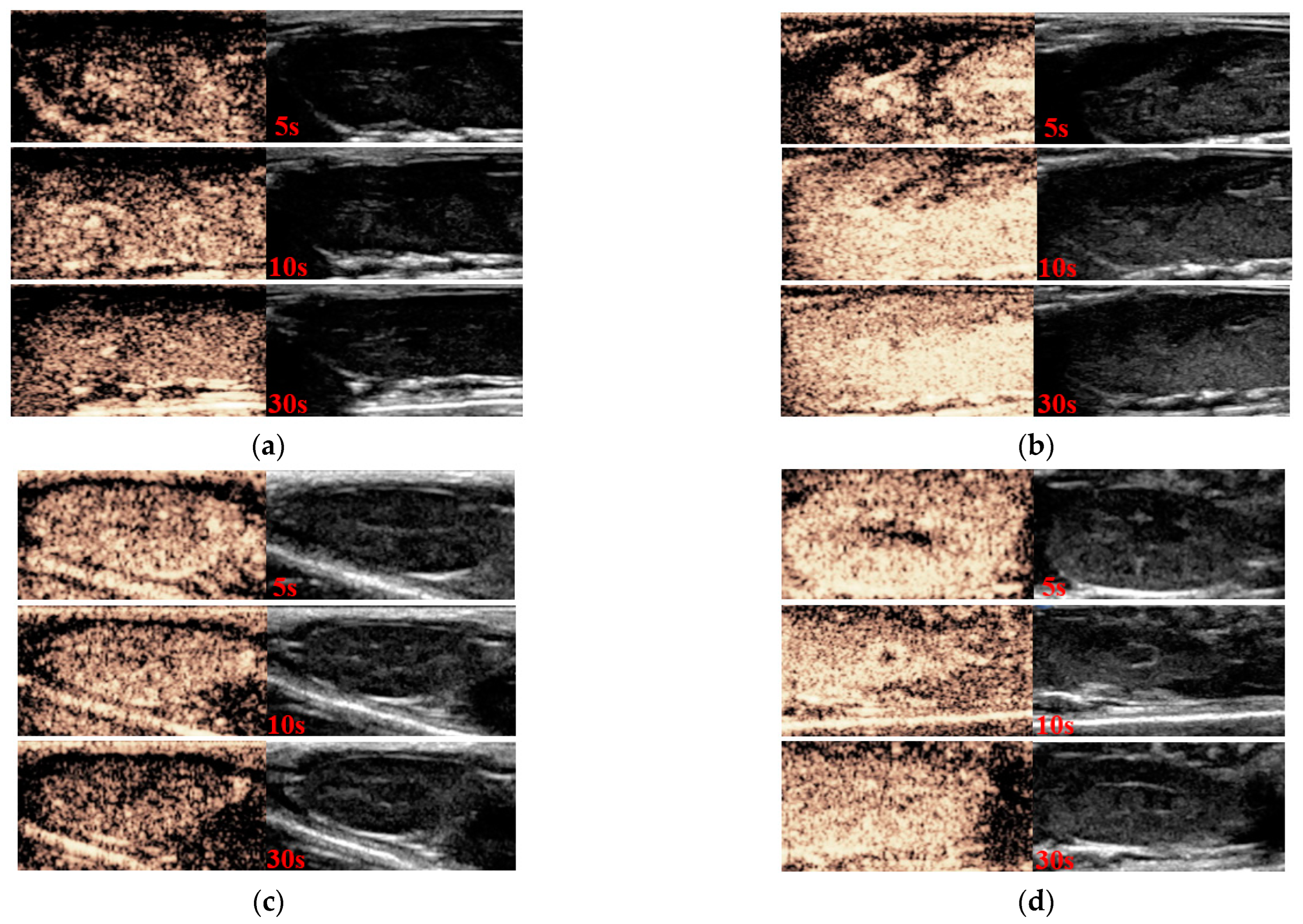 Molecules 28 07646 g009
