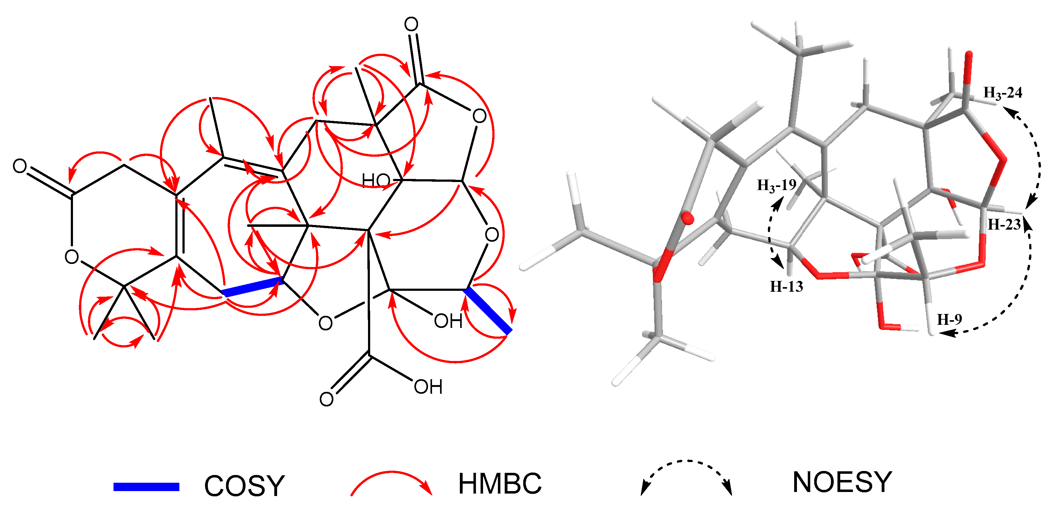 Molecules 28 07650 g002