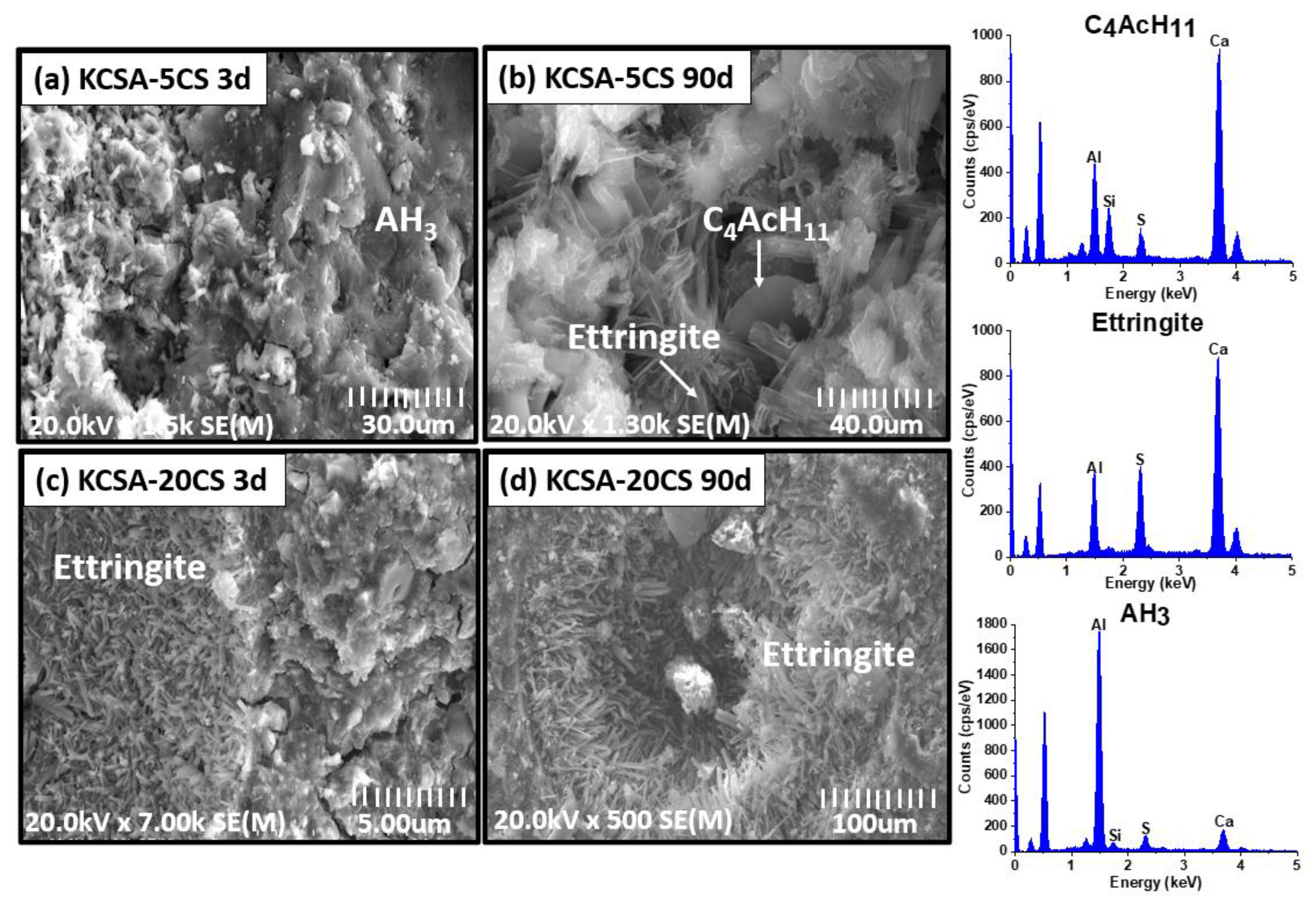Molecules 28 07651 g008