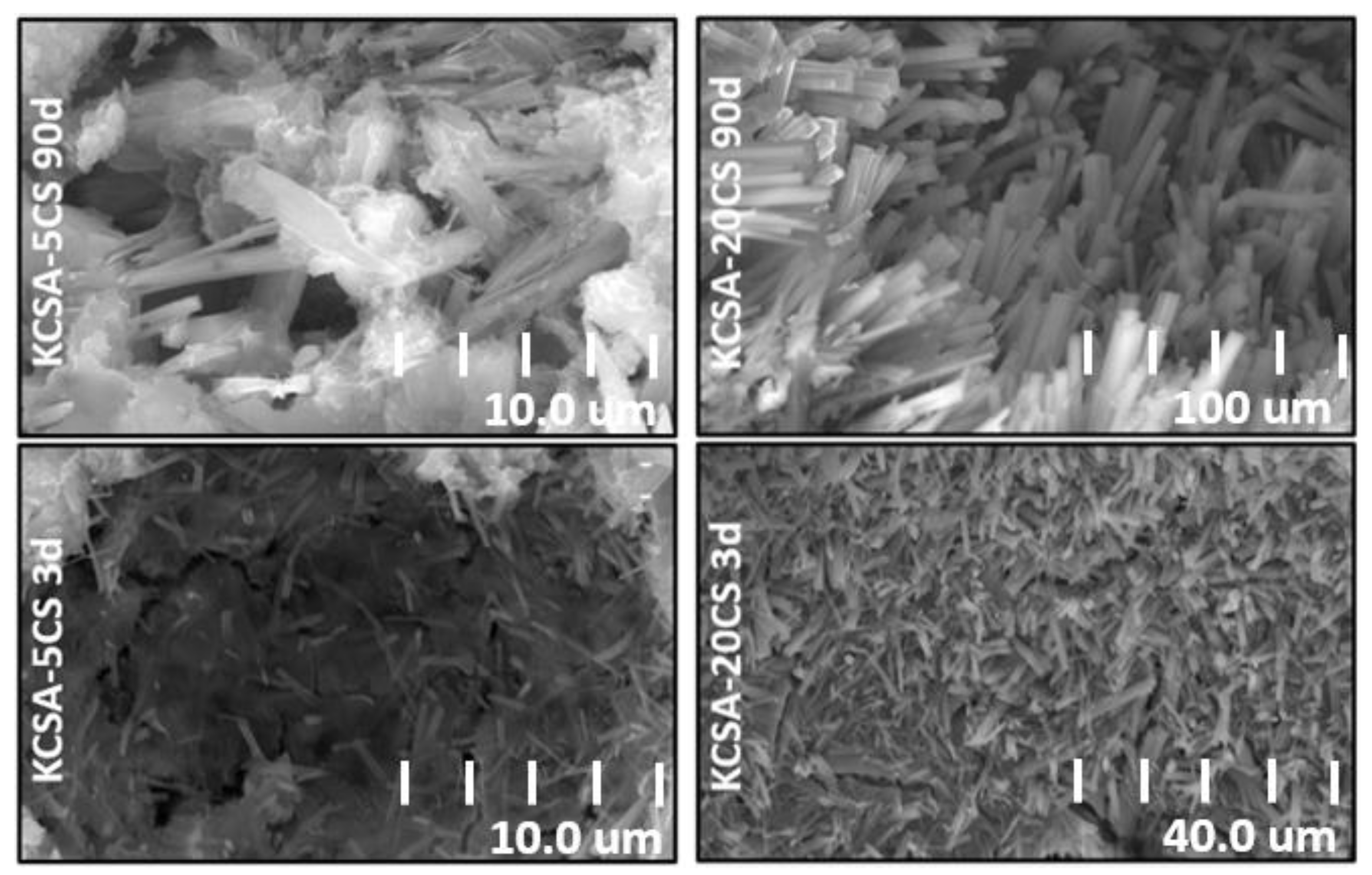 Molecules 28 07651 g009