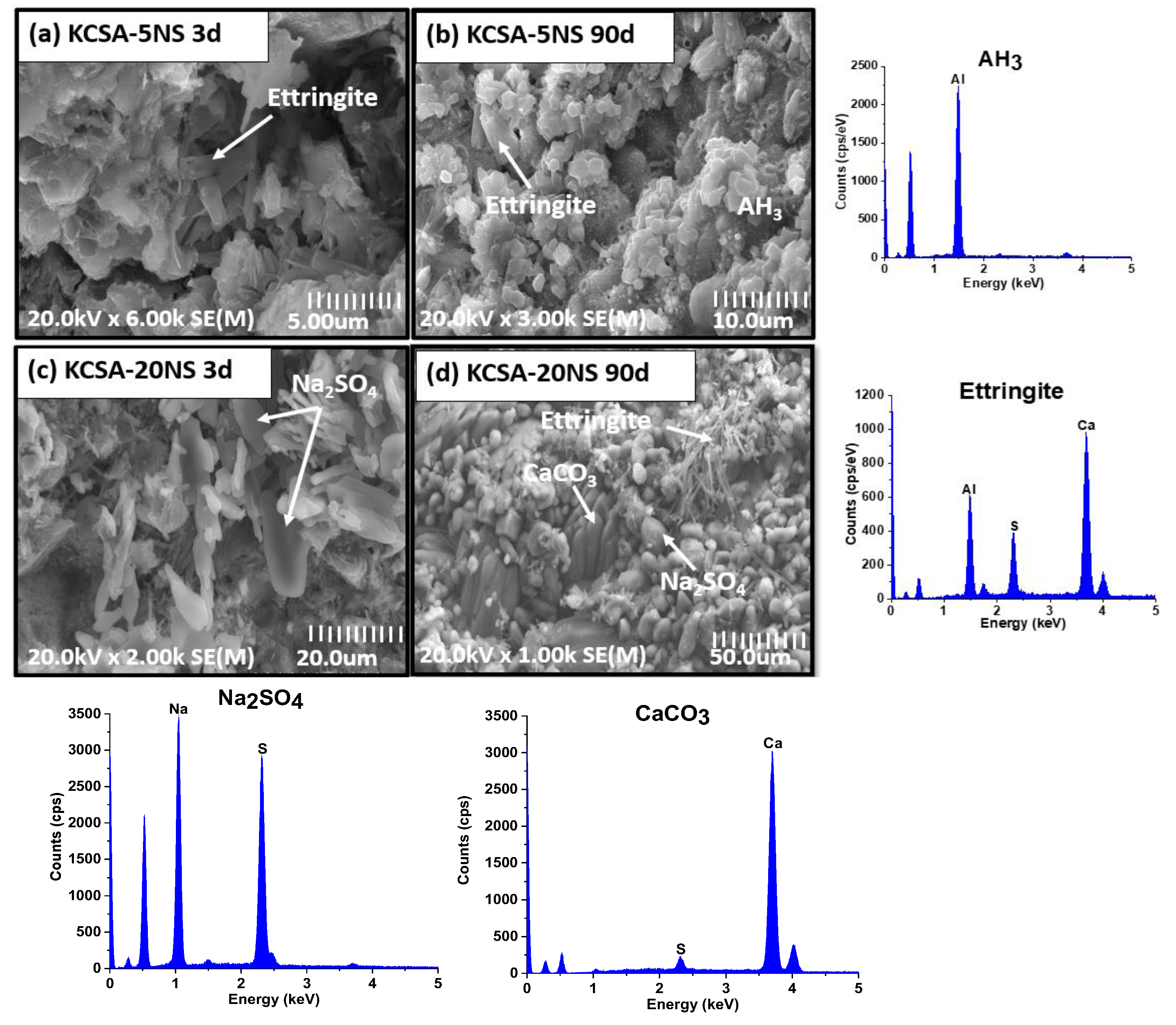 Molecules 28 07651 g010