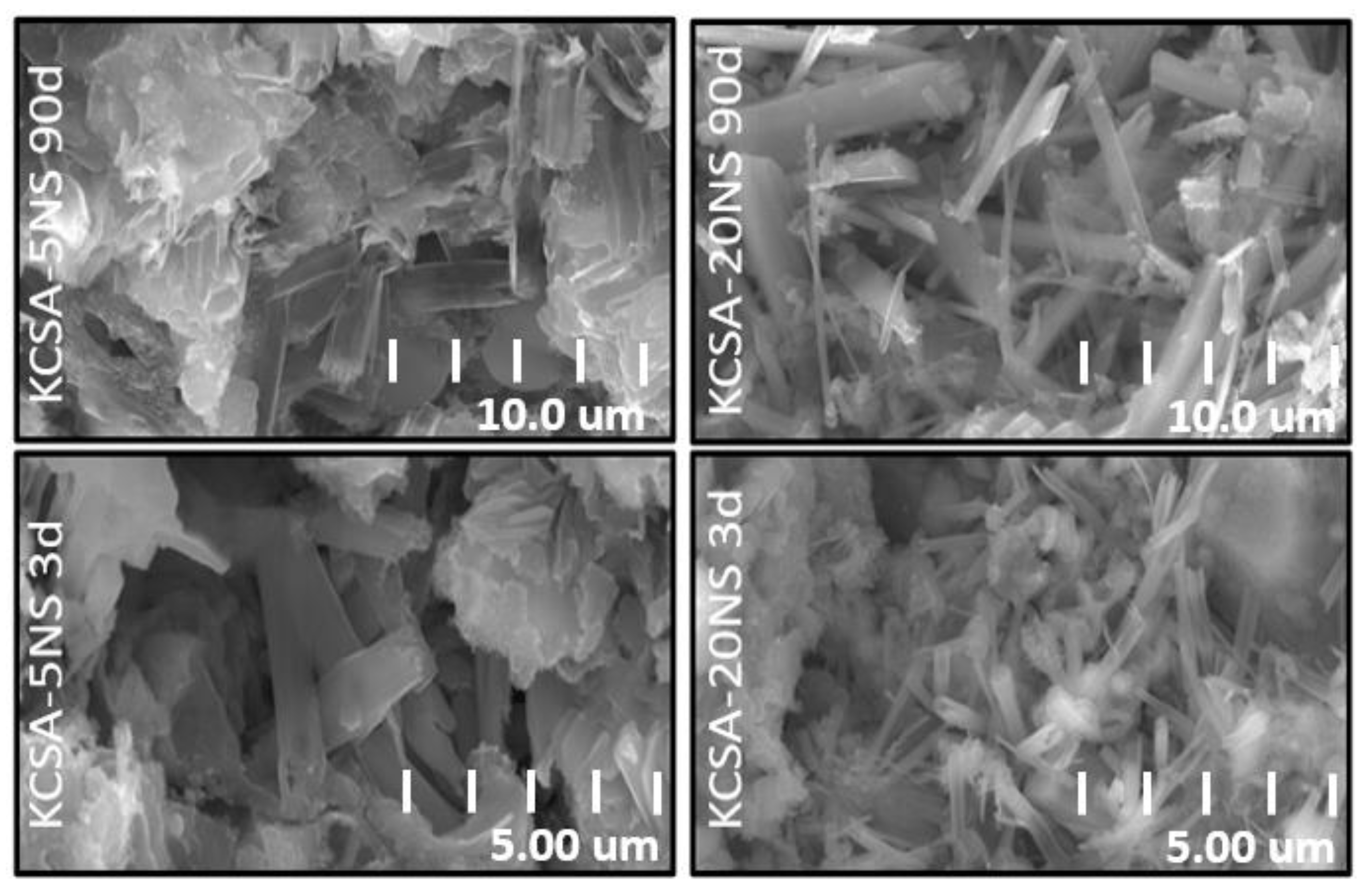 Molecules 28 07651 g011