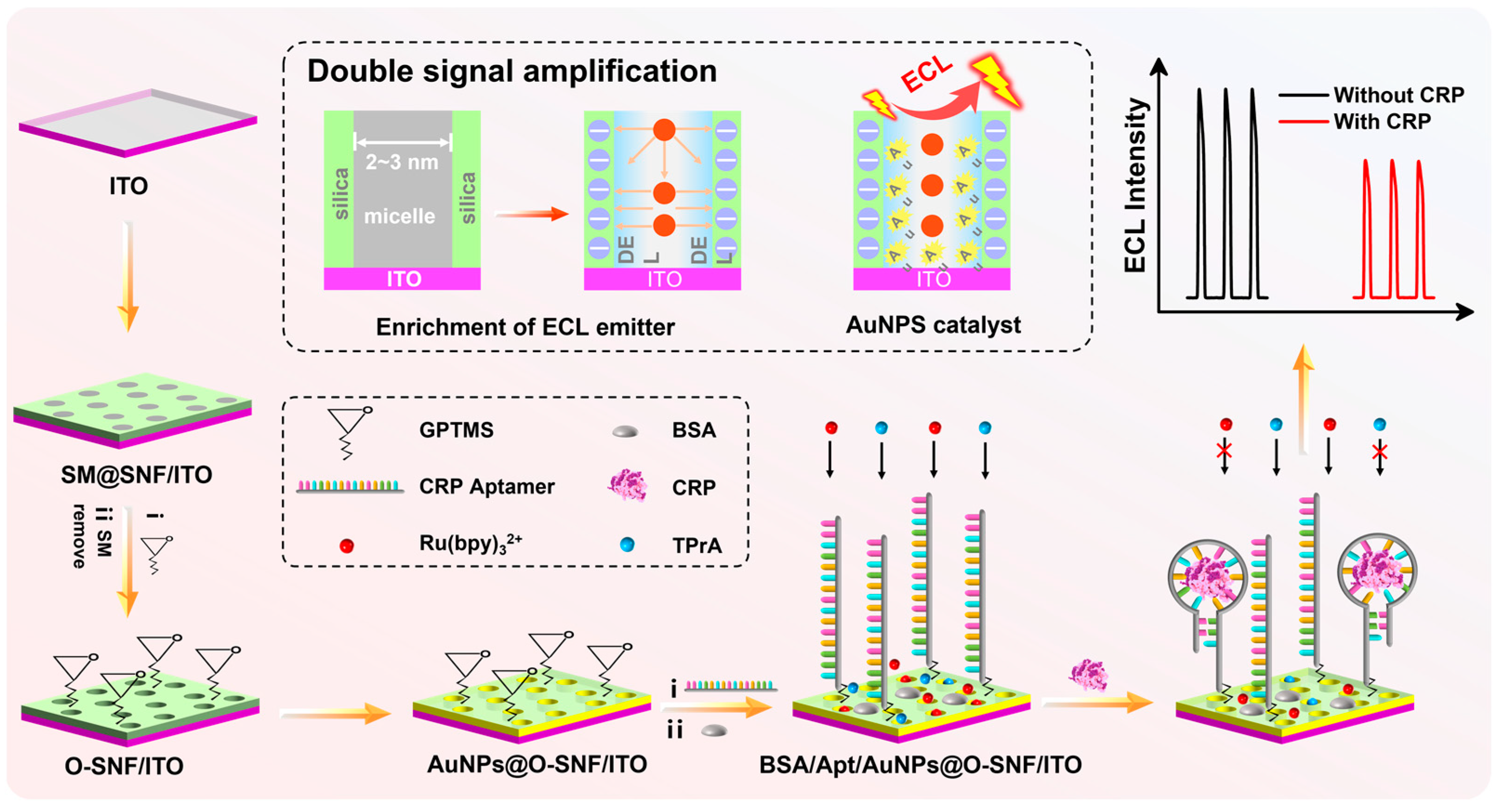 Molecules 28 07664 g001
