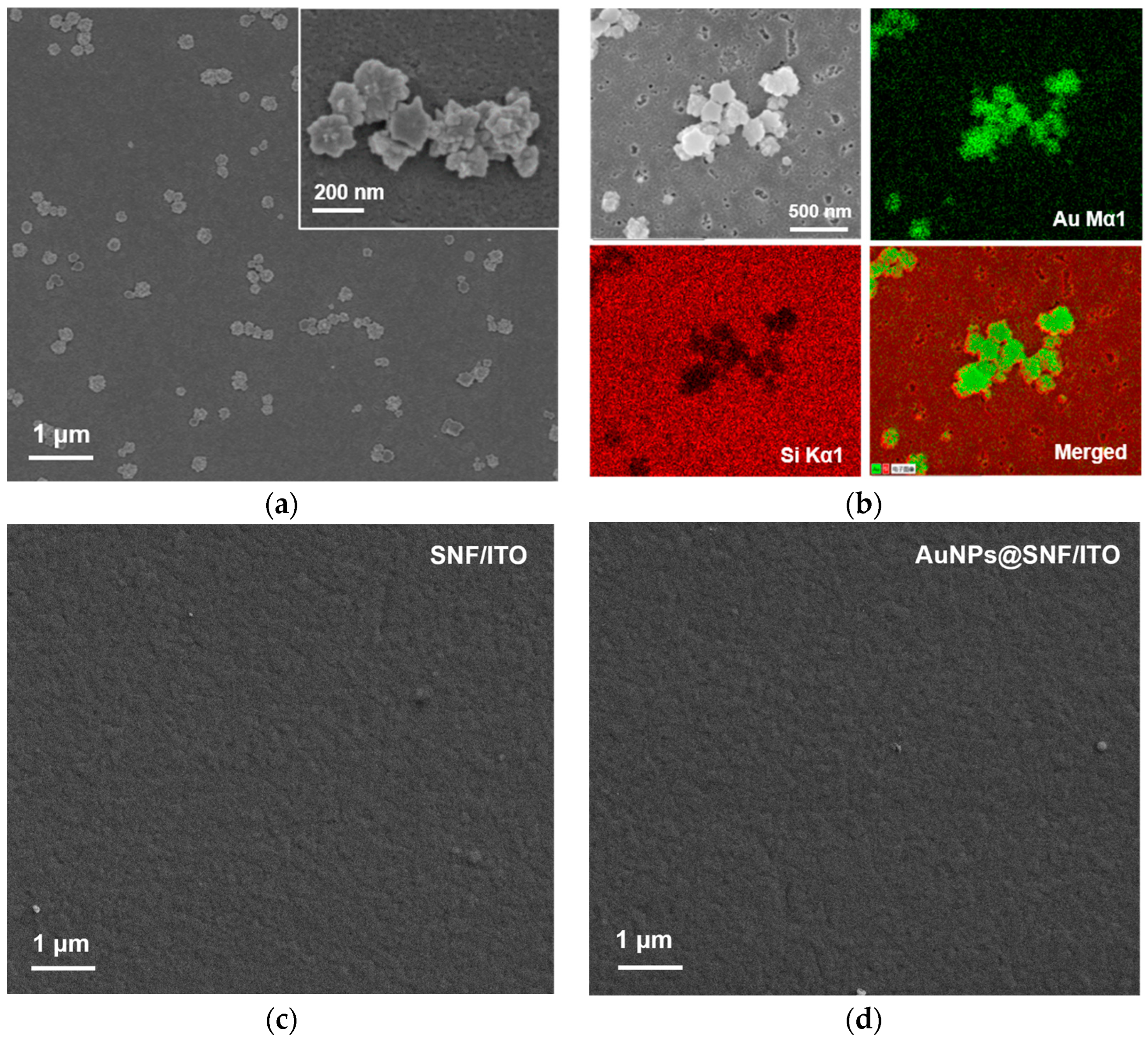 Molecules 28 07664 g005