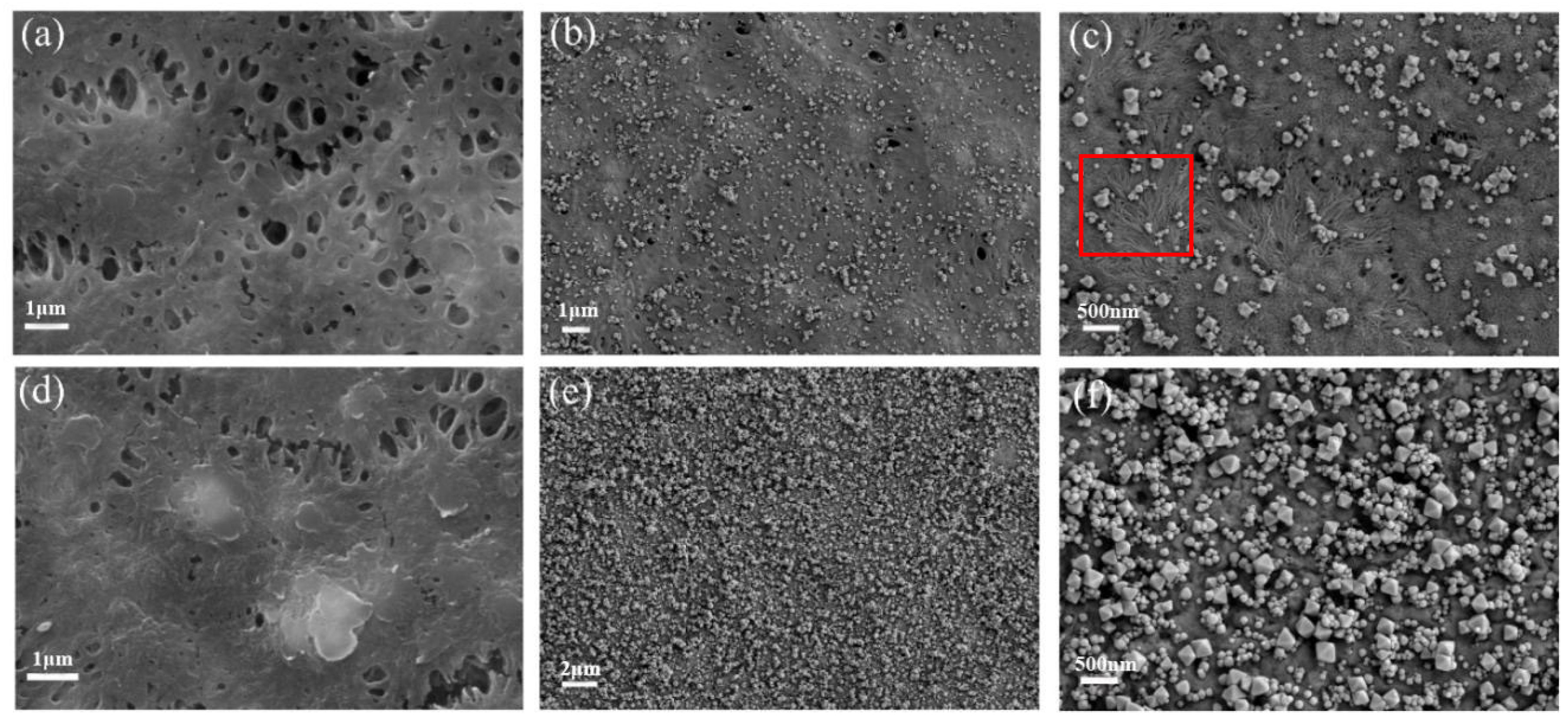 Molecules 28 07667 g001