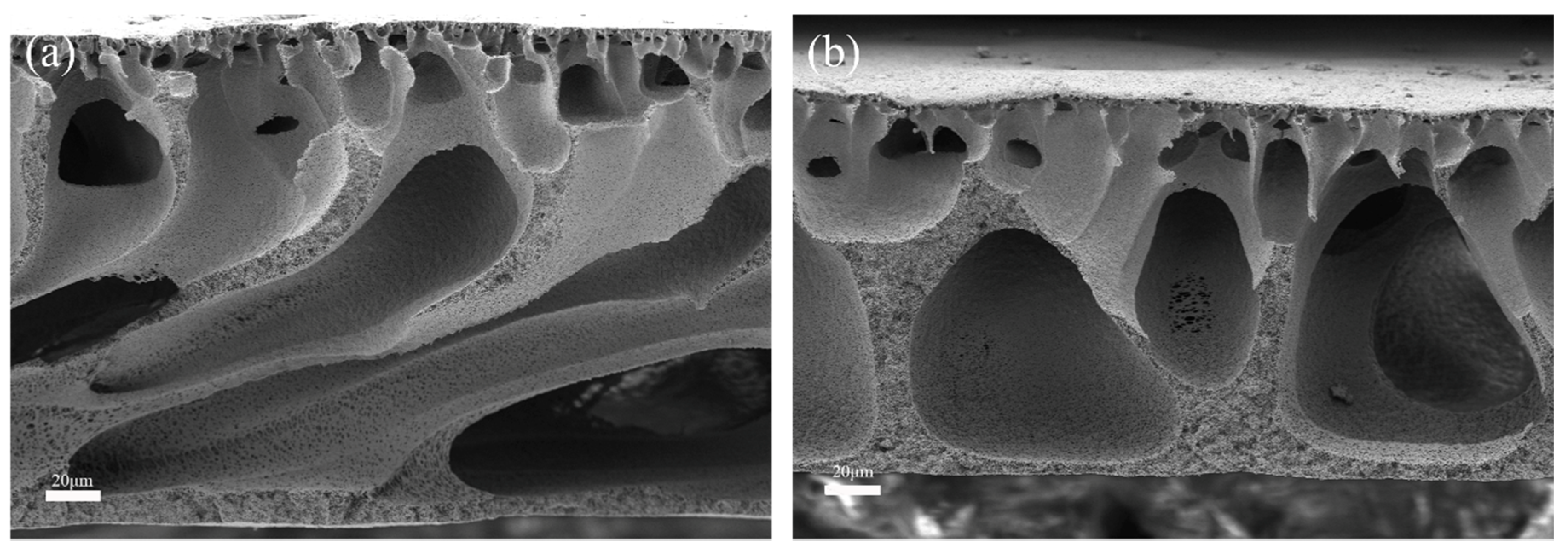 Molecules 28 07667 g002