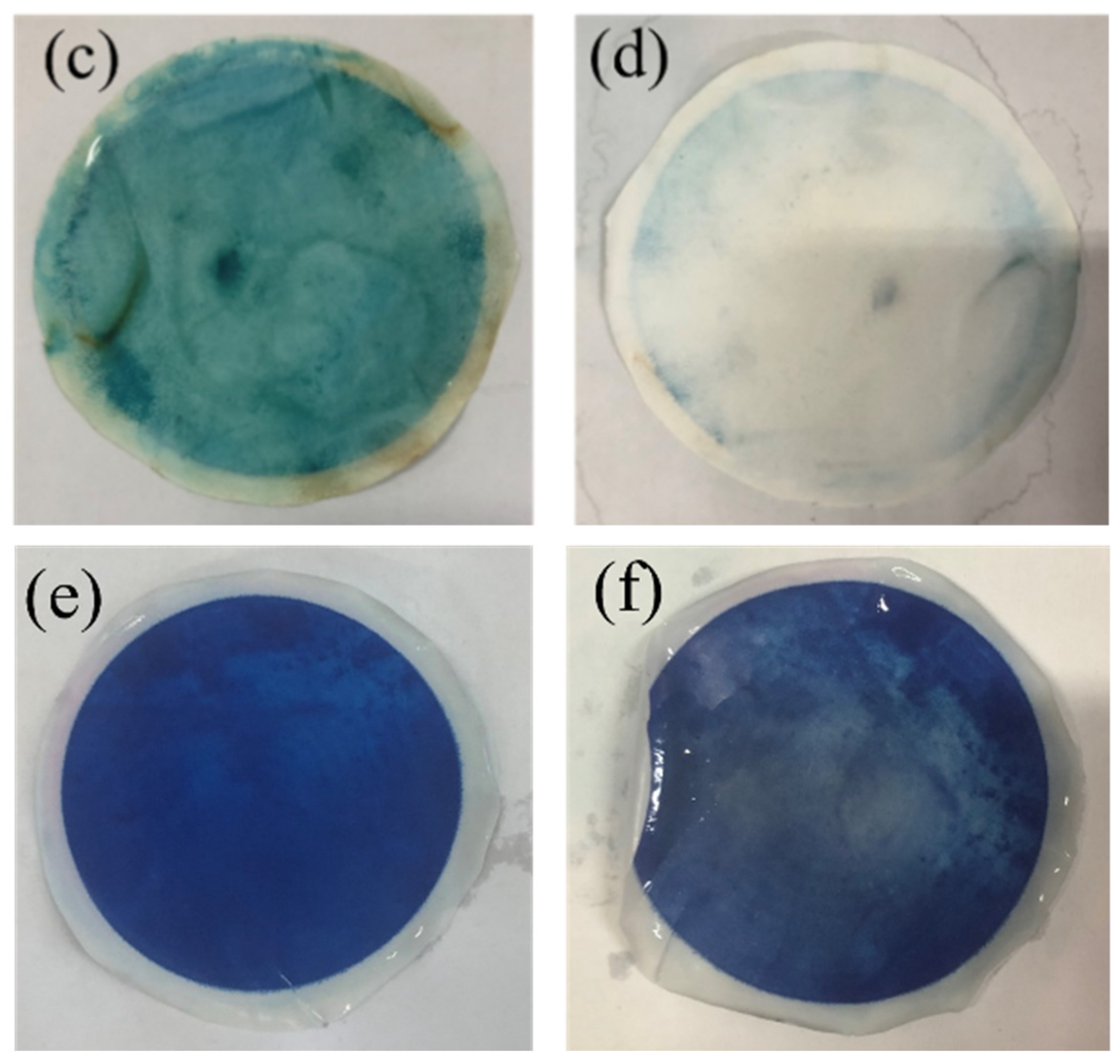 Molecules 28 07667 g011b