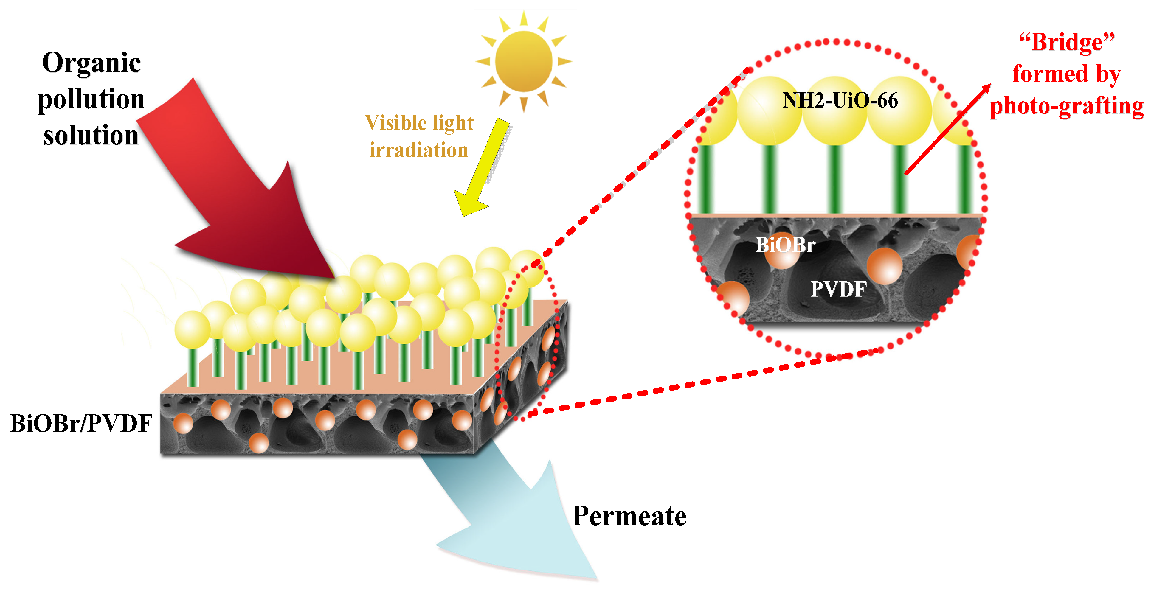 Molecules 28 07667 g012