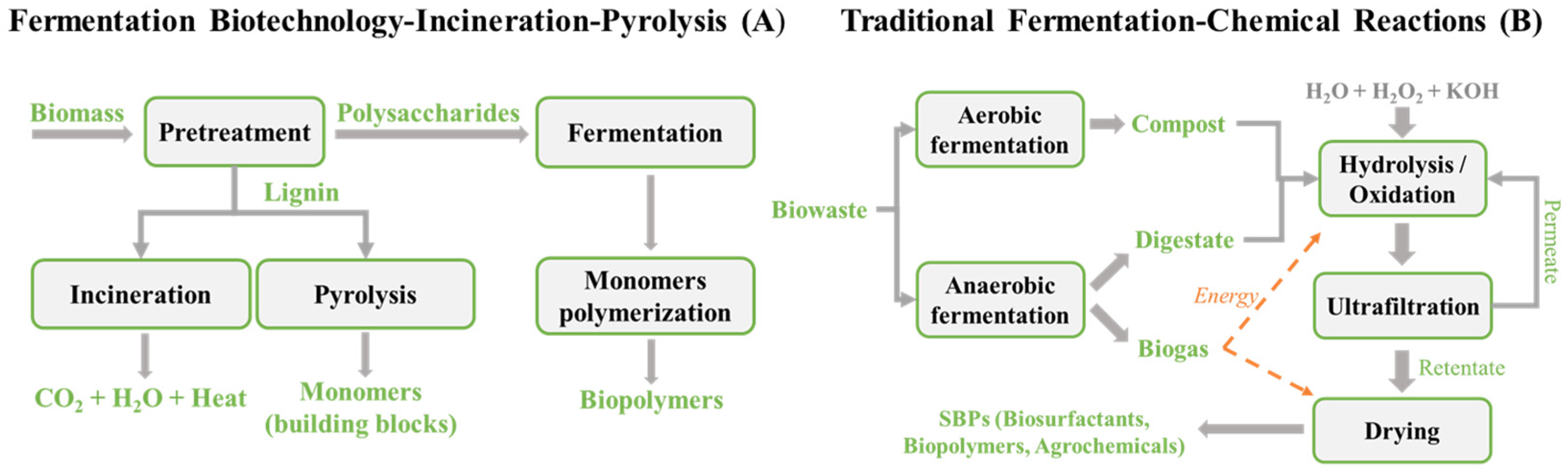 Molecules 28 07670 g001