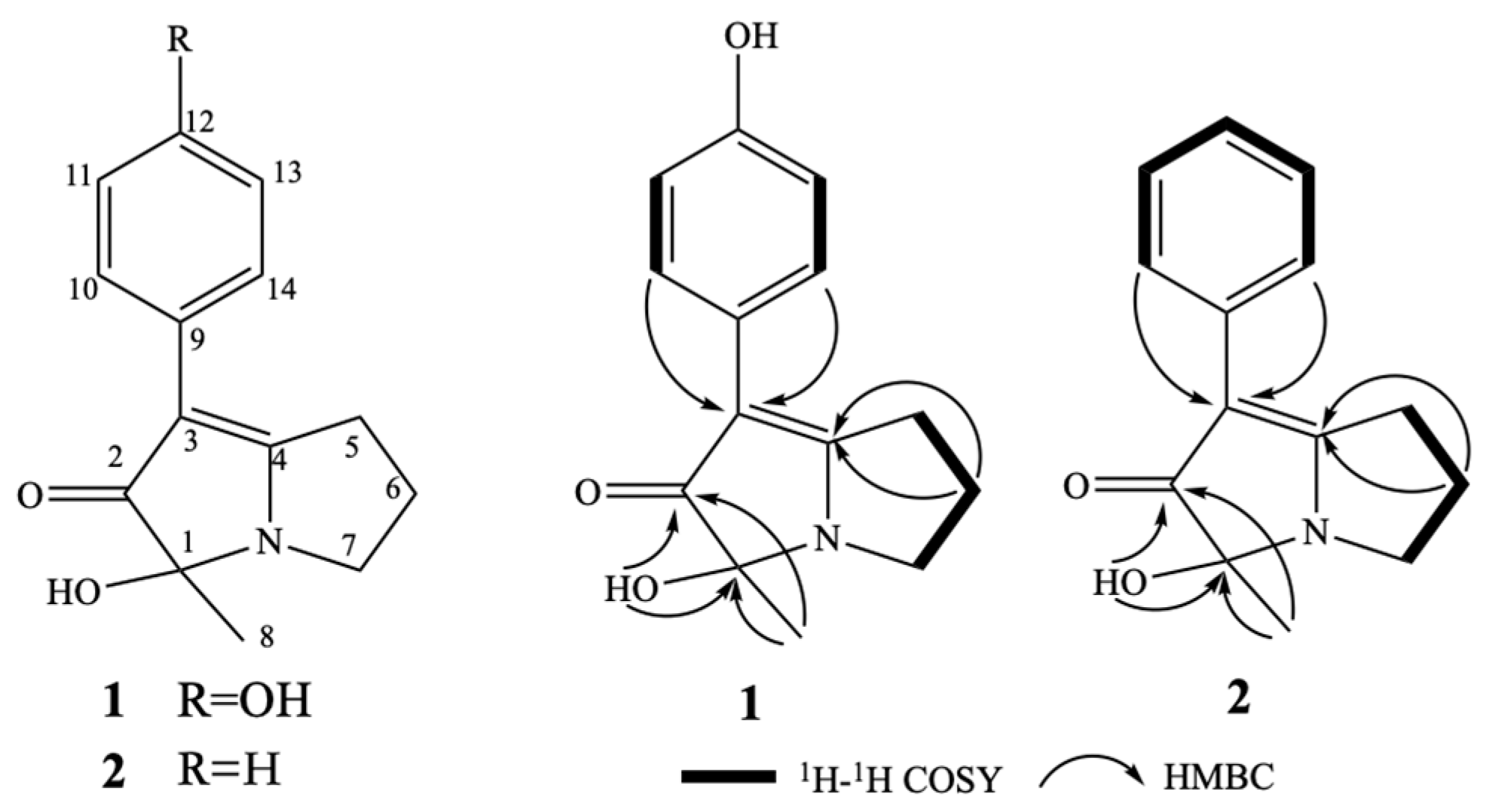 Phenopyrrolizins A and B, Two Novel Pyrrolizine Alkaloids Phenopyrrolizins A and B, Two Novel Pyrrolizine Alkaloids