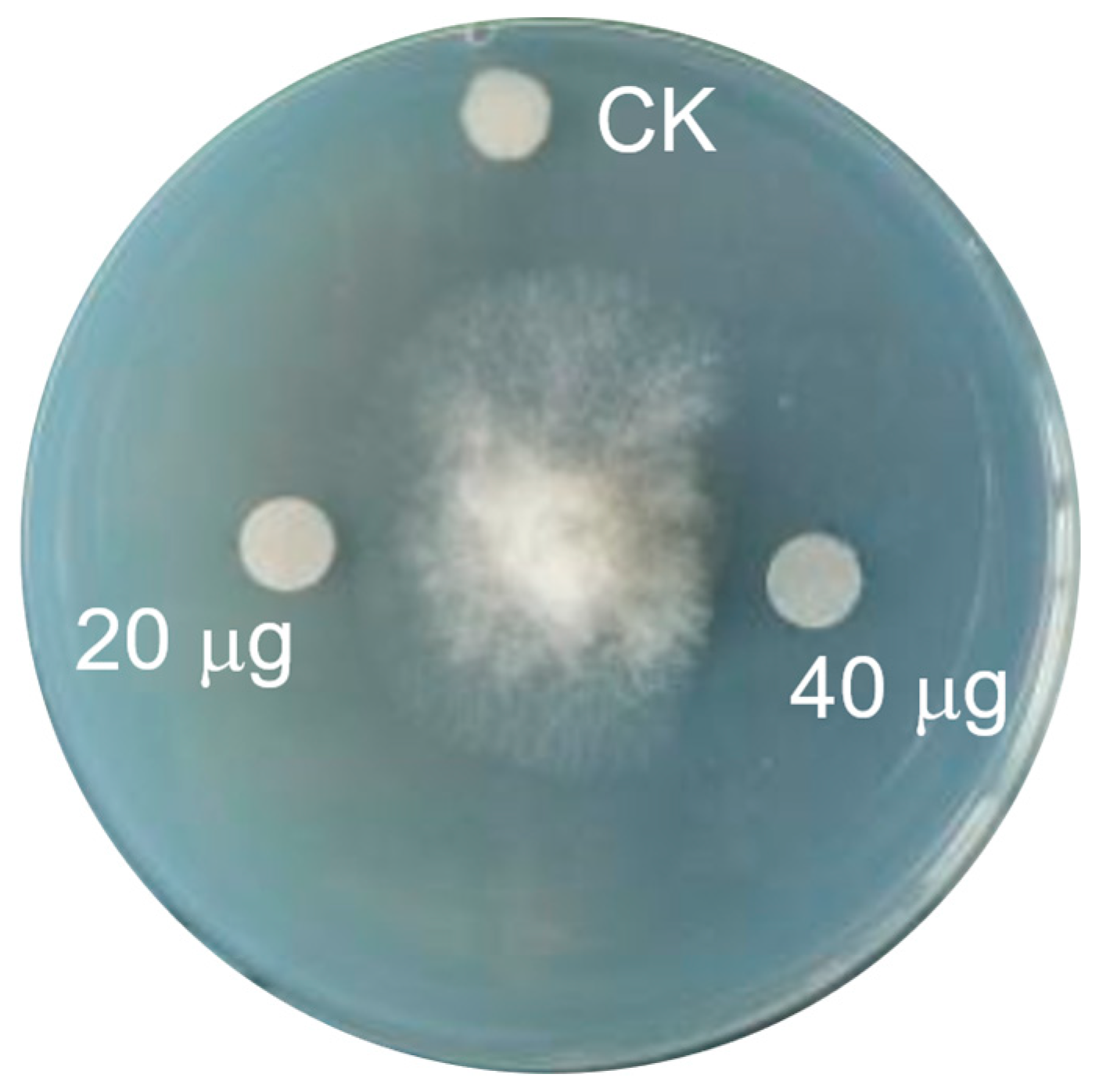 Molecules 28 07672 g007
