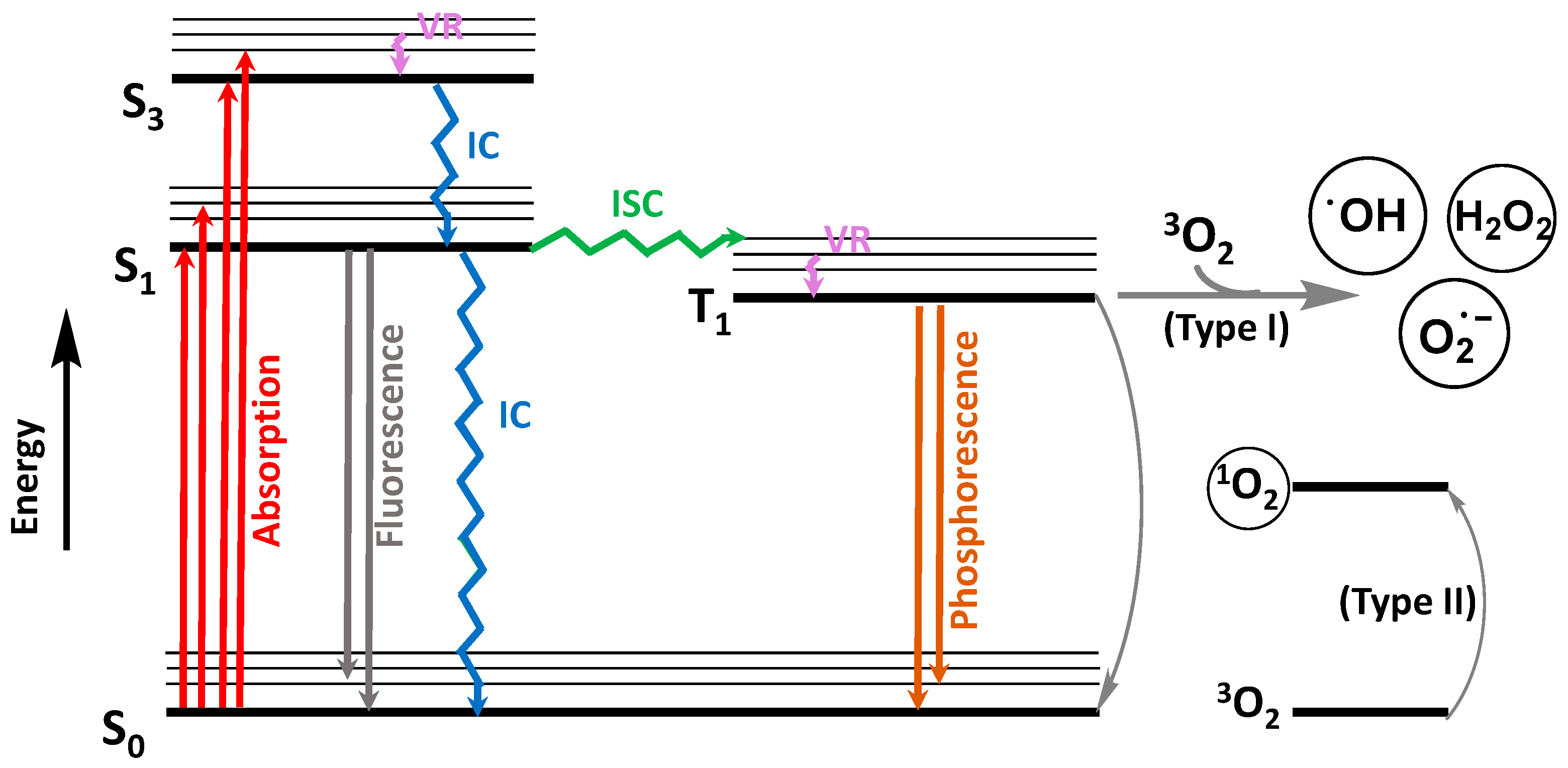 Molecules 28 07677 g004