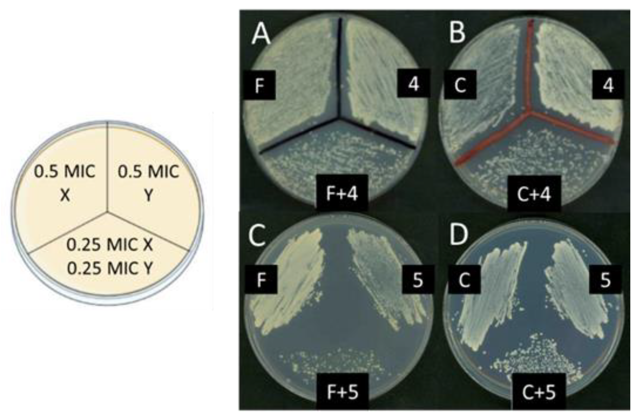Molecules 28 07678 g004 Molecules 28 07678 g004