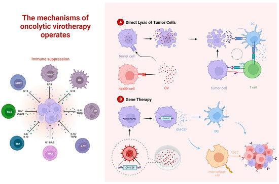 Joining Forces: The Combined Application of Therapeutic Viruses and  Nanomaterials in Cancer Therapy
