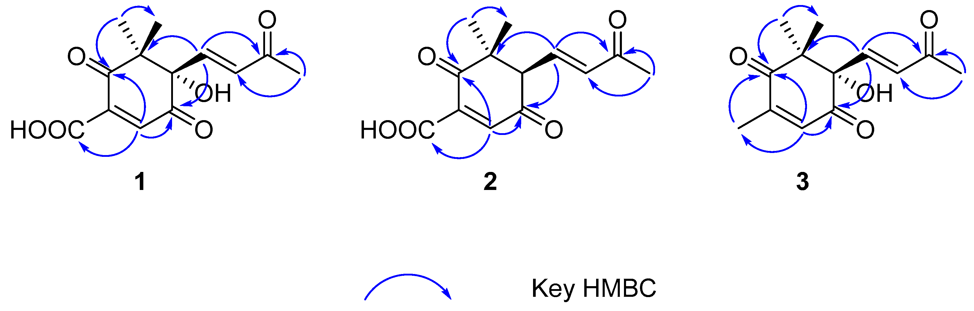 Molecules 28 07681 g002