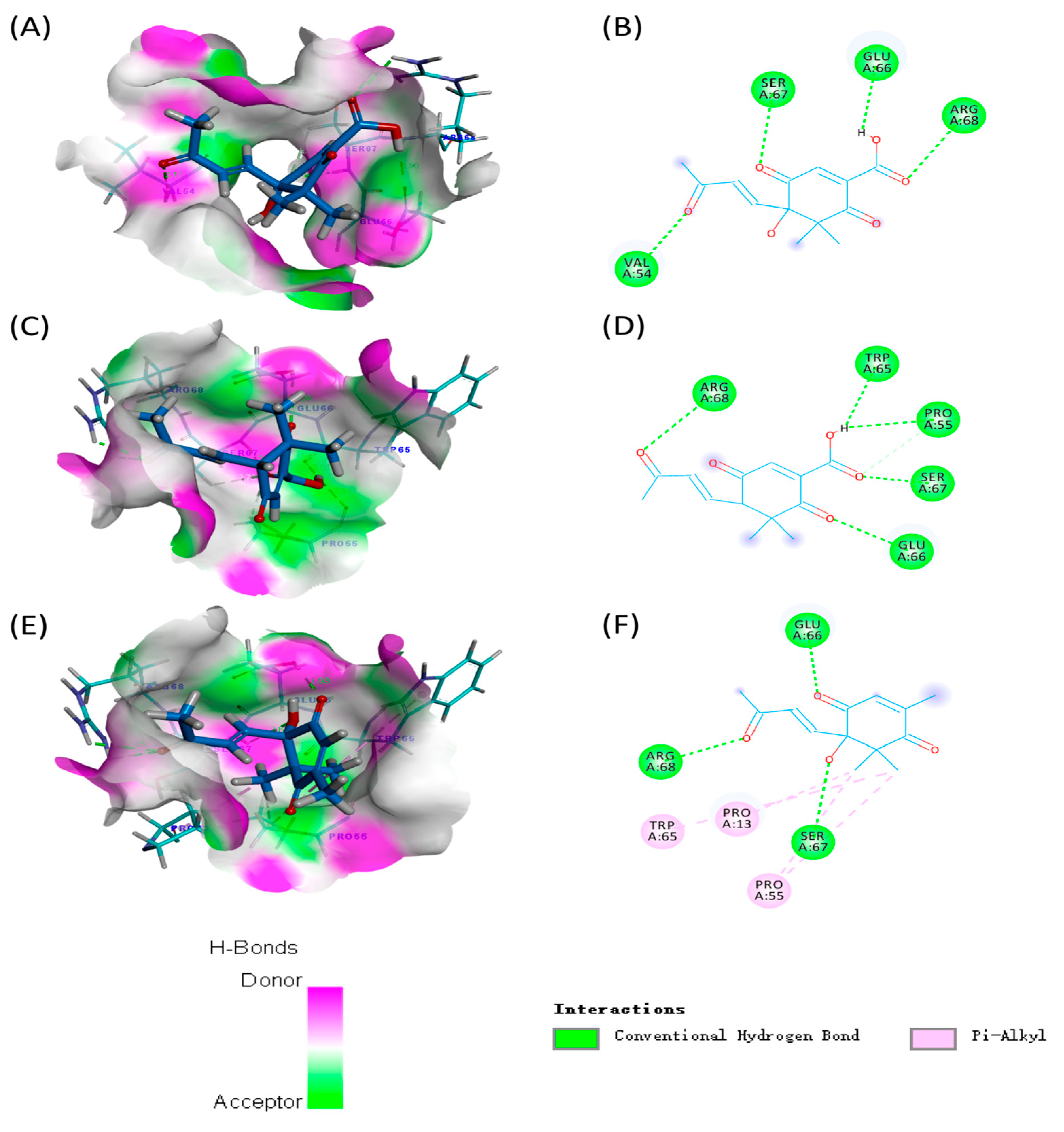 Molecules 28 07681 g005