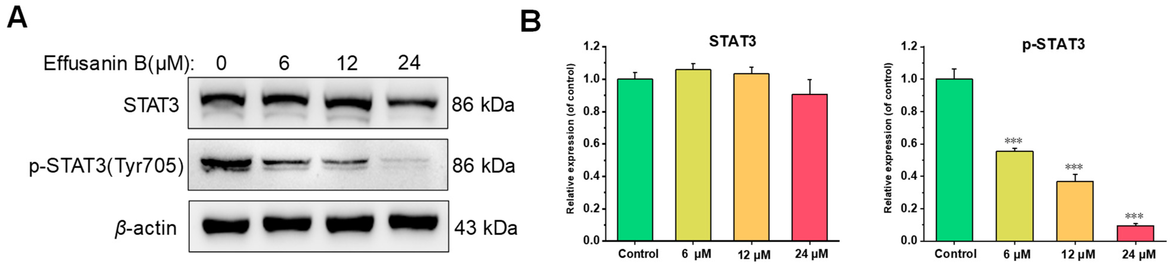 Molecules 28 07682 g007