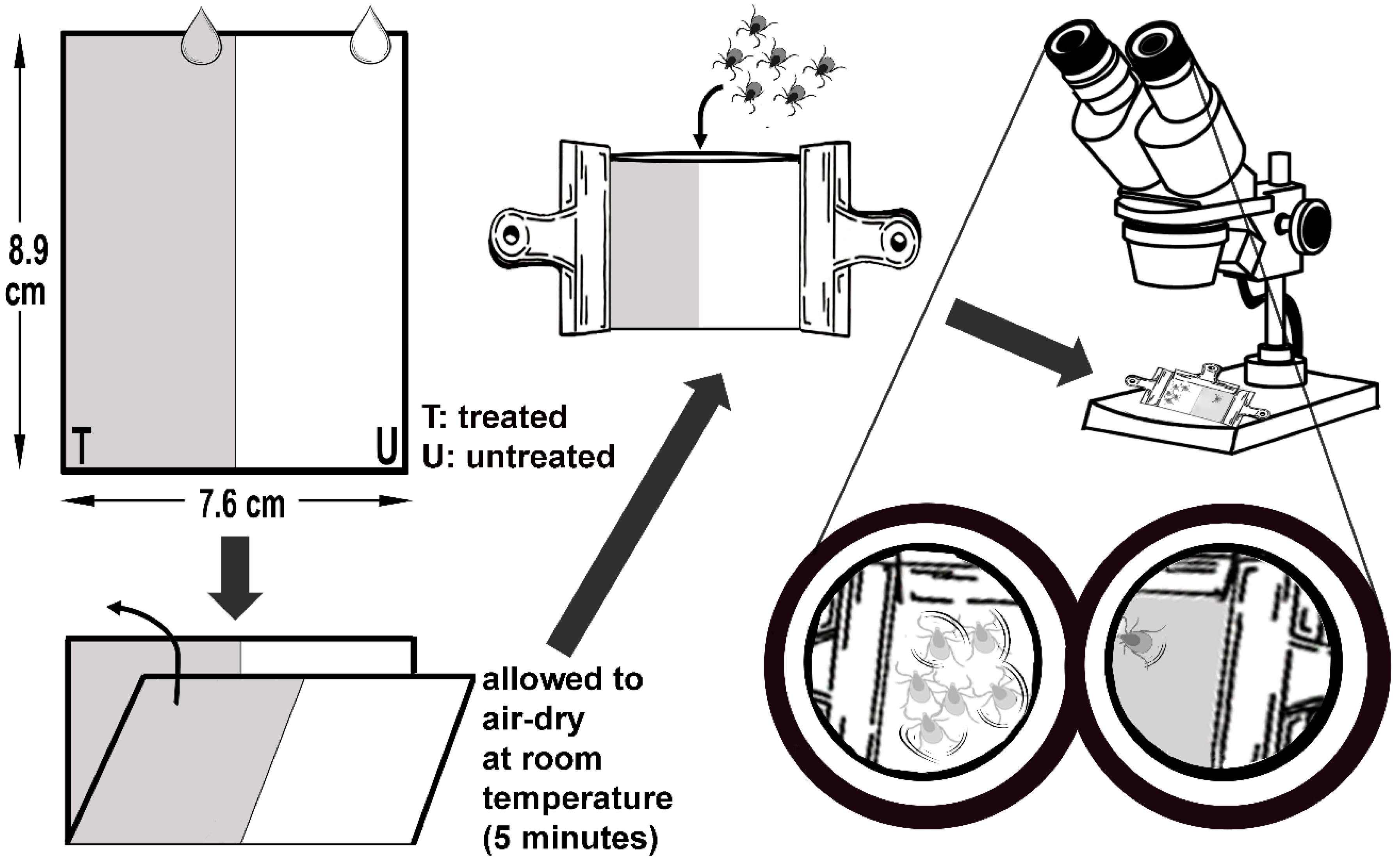 Molecules 28 07689 g005