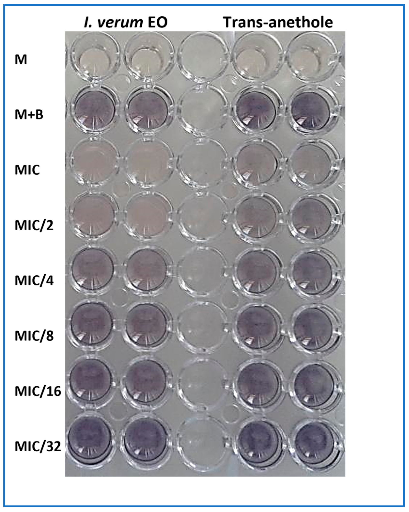 Molecules 28 07691 g005