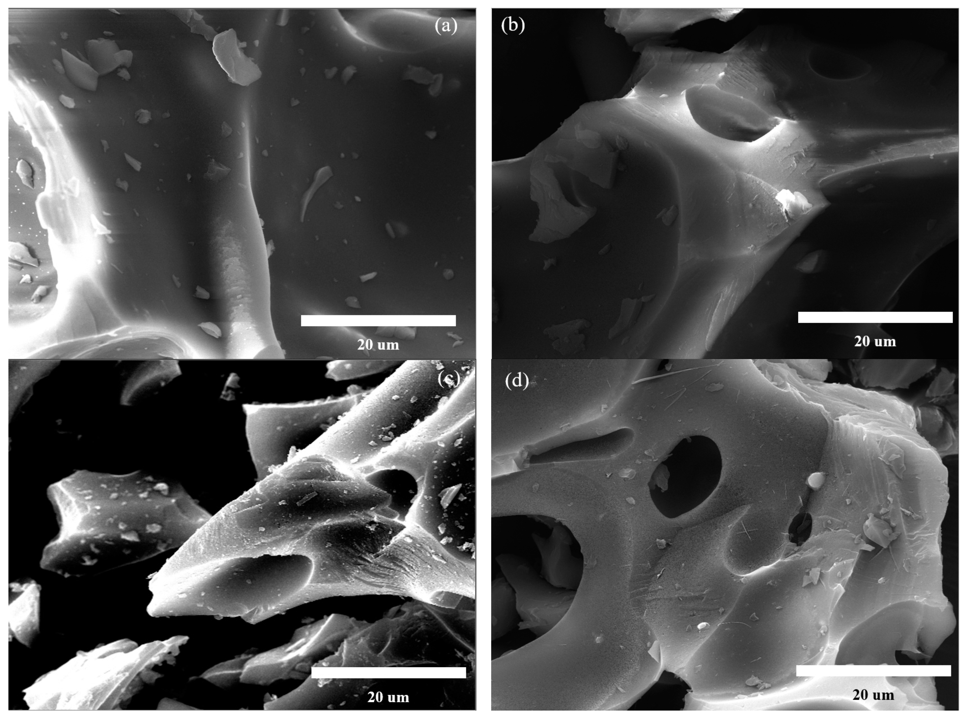 Molecules 28 07694 g001