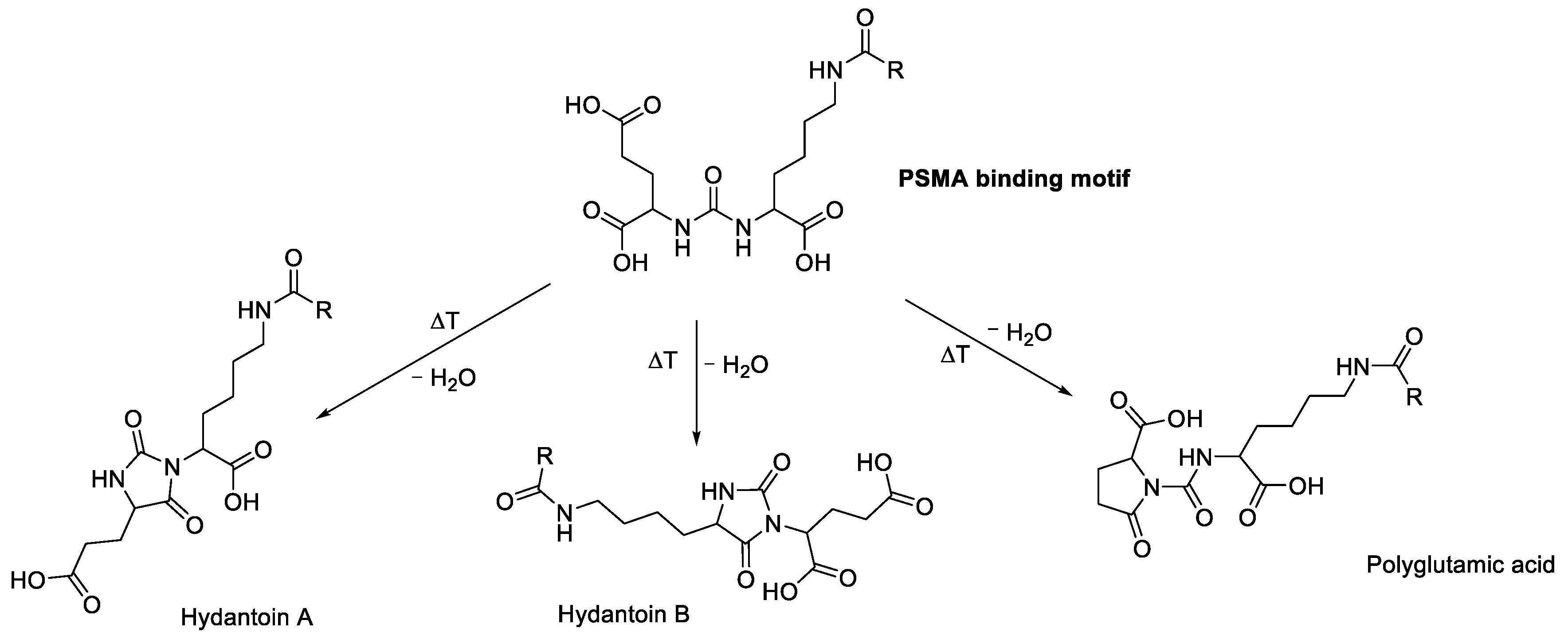 Molecules 28 07696 g013