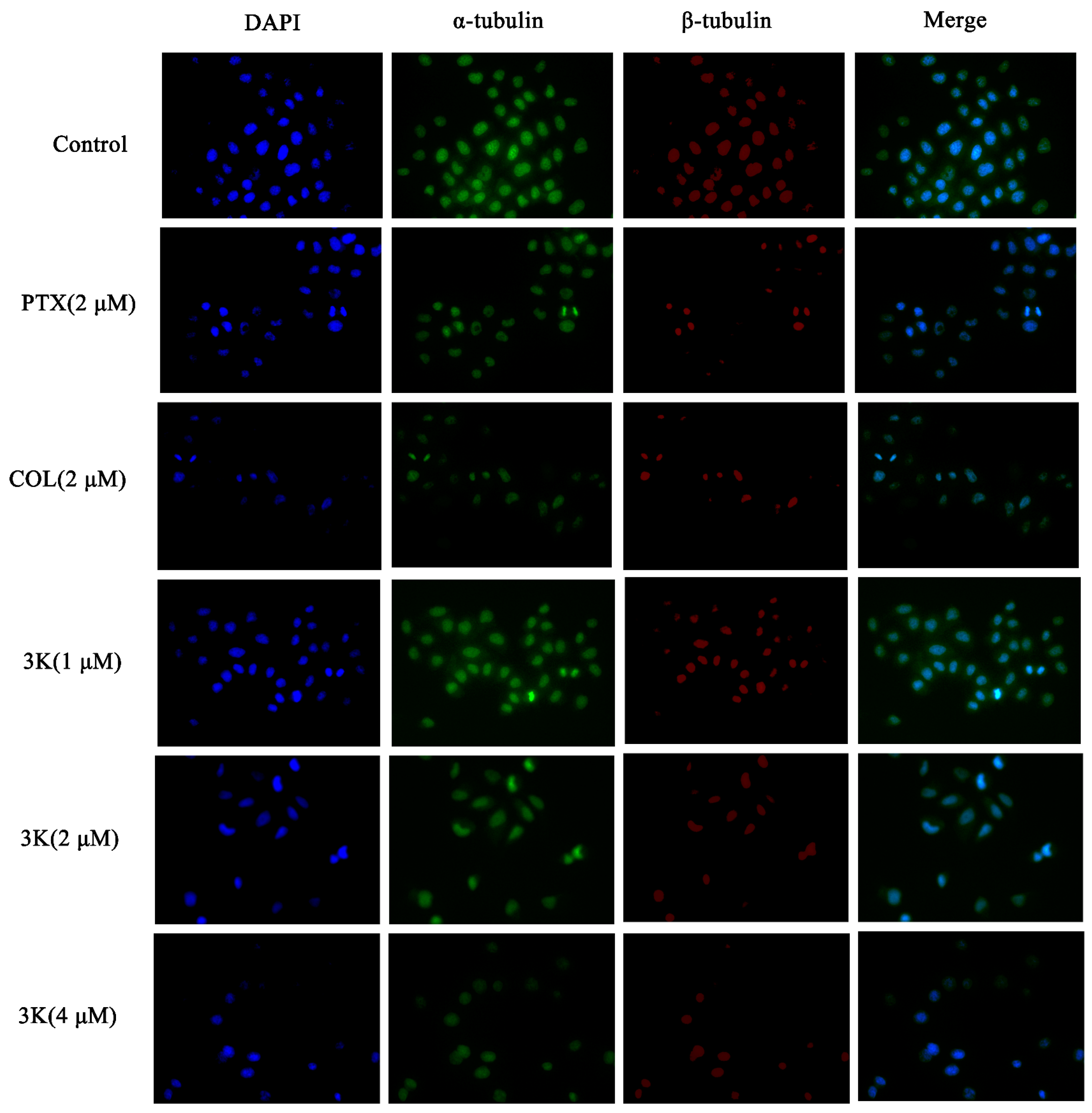 Molecules 28 07697 sch012
