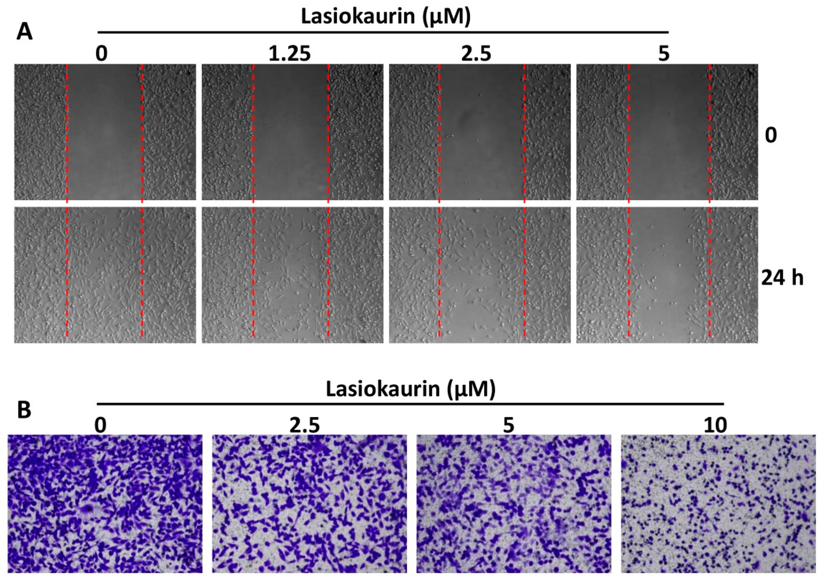 Molecules 28 07701 g004