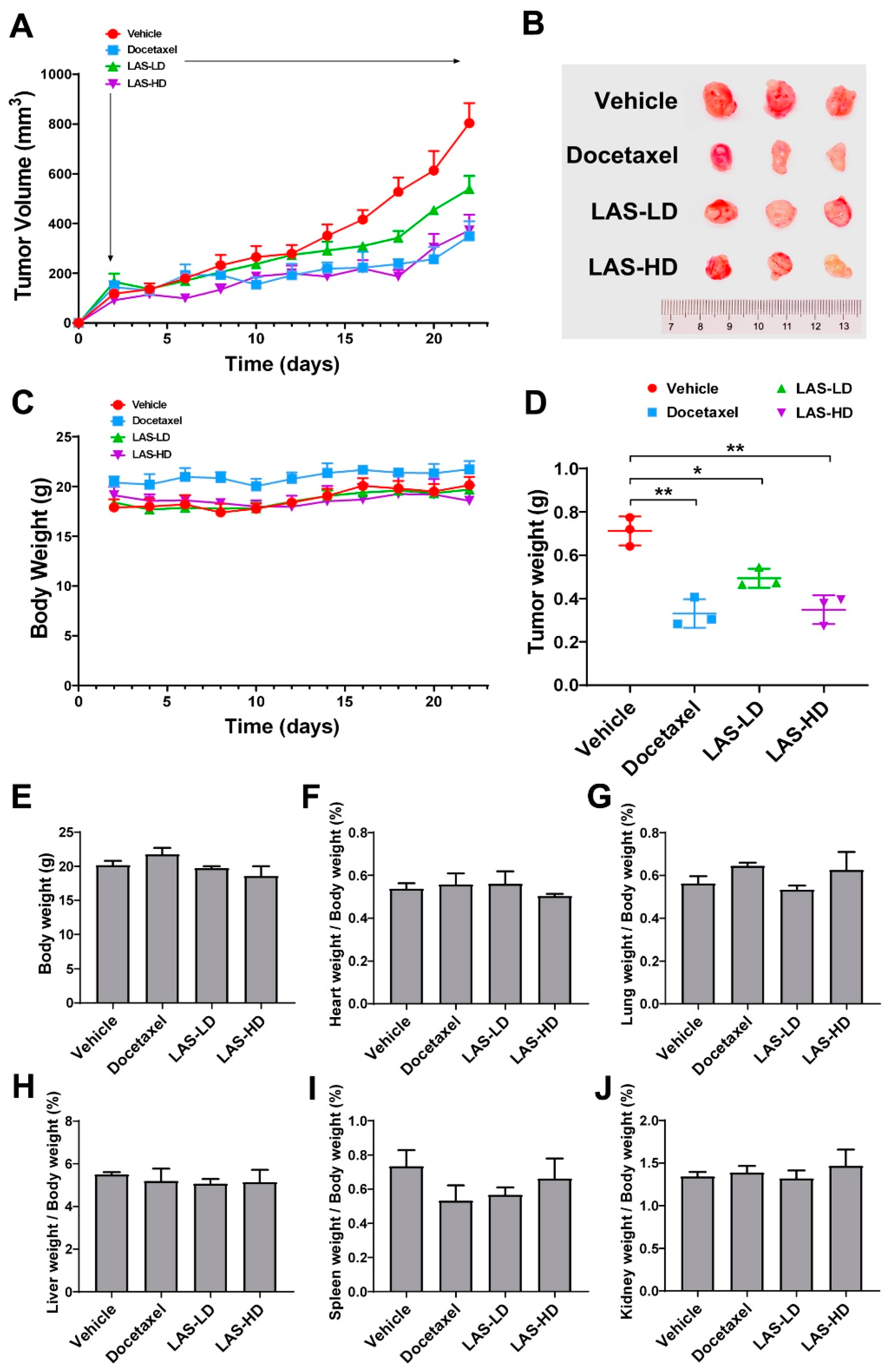 Molecules 28 07701 g006