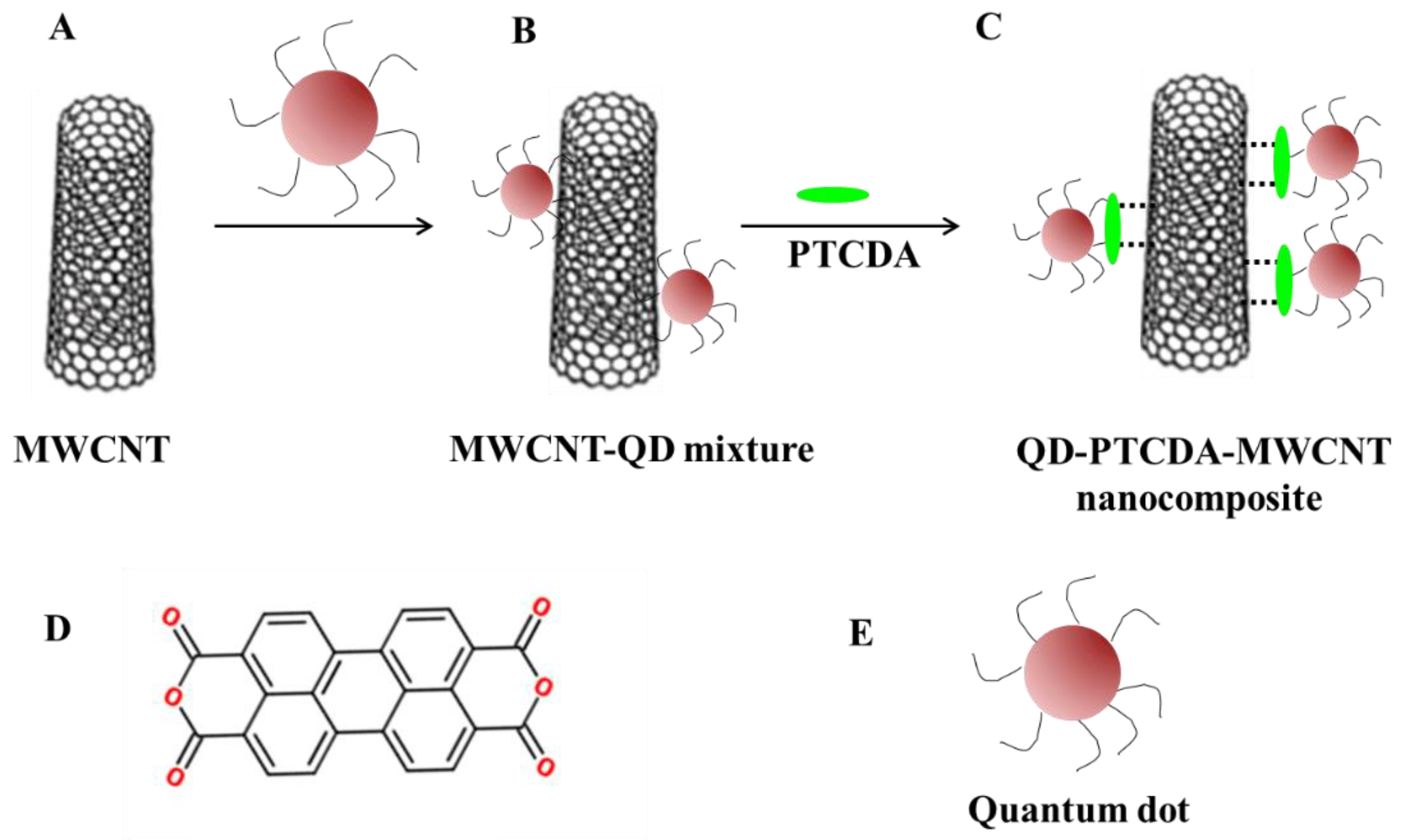 Molecules 28 07702 g001
