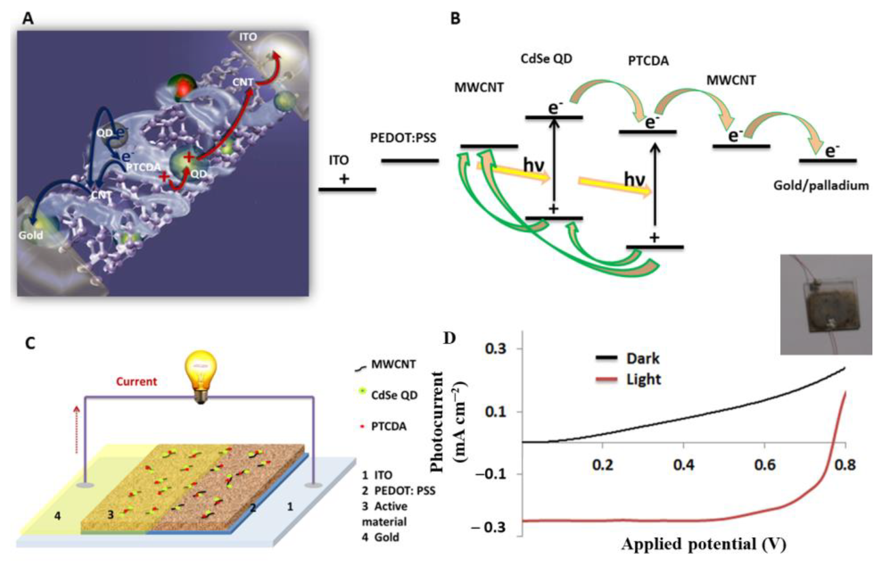 Molecules 28 07702 g009