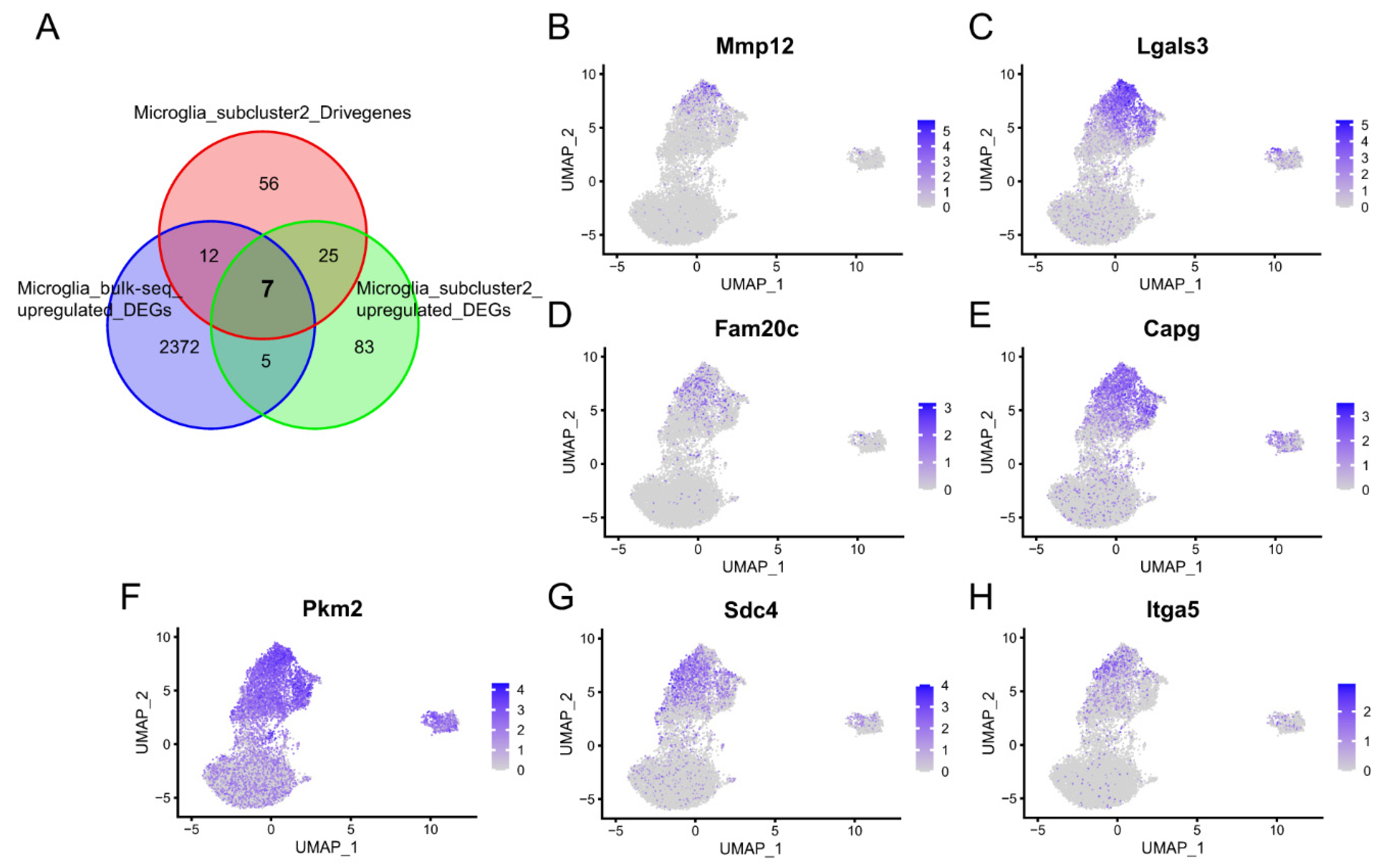 Molecules 28 07704 g008