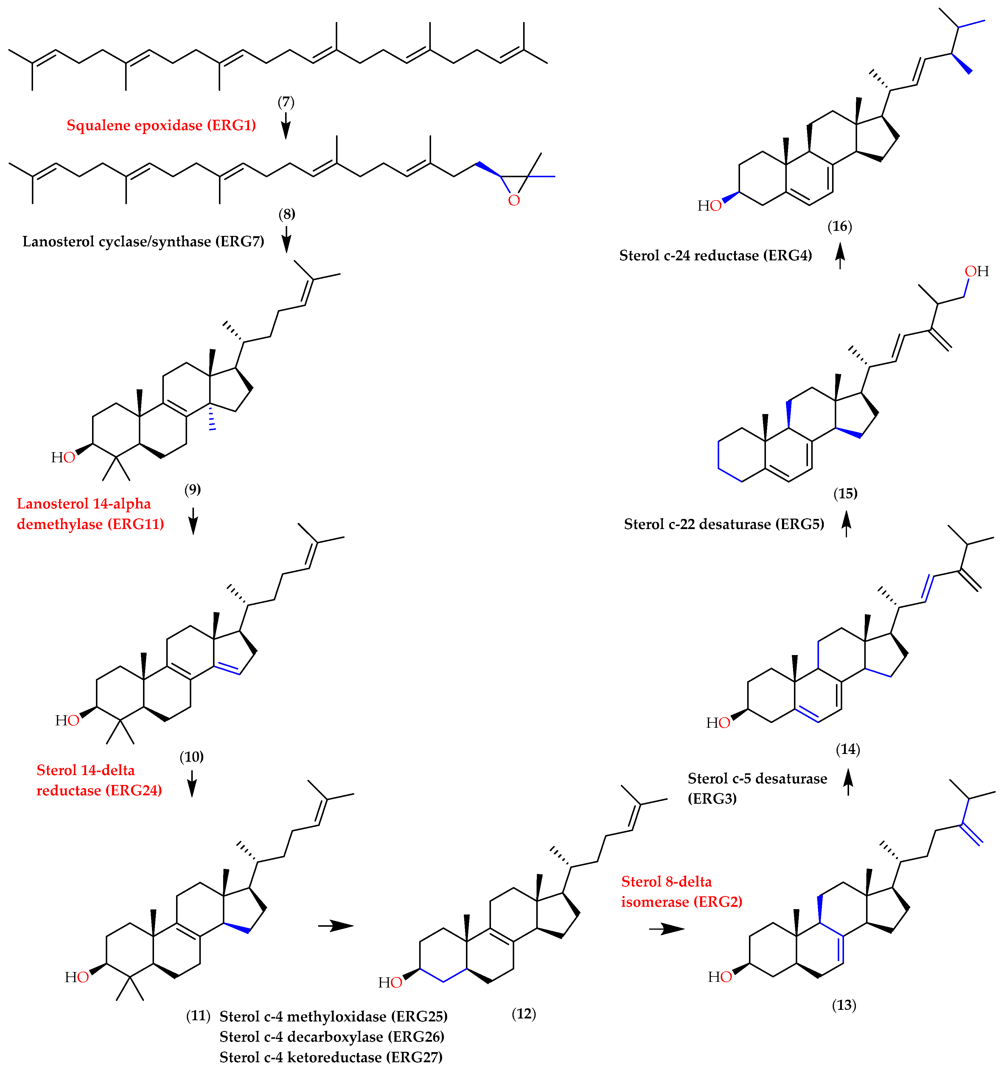 Molecules 28 07705 g010