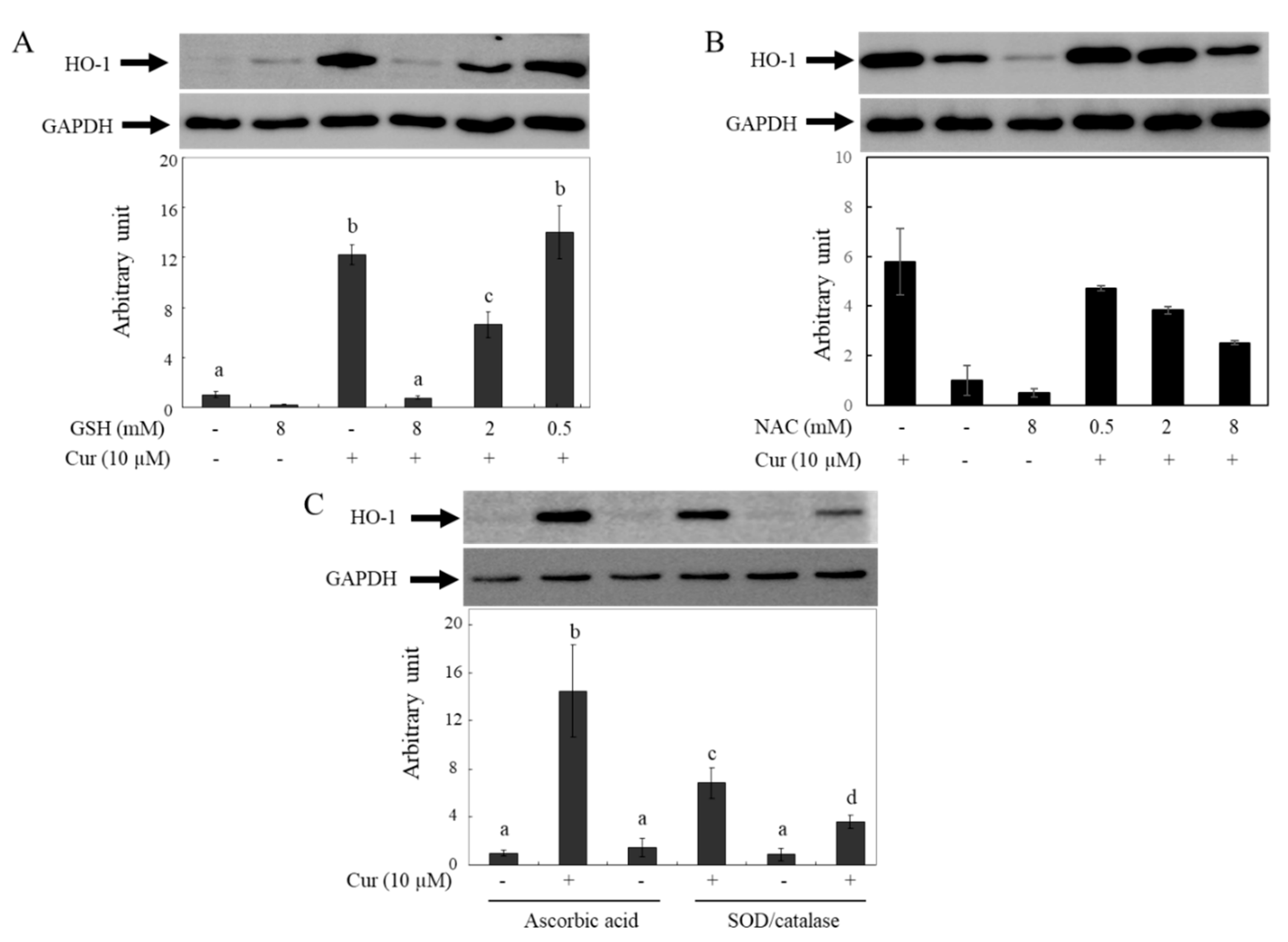 Molecules 28 07711 g007