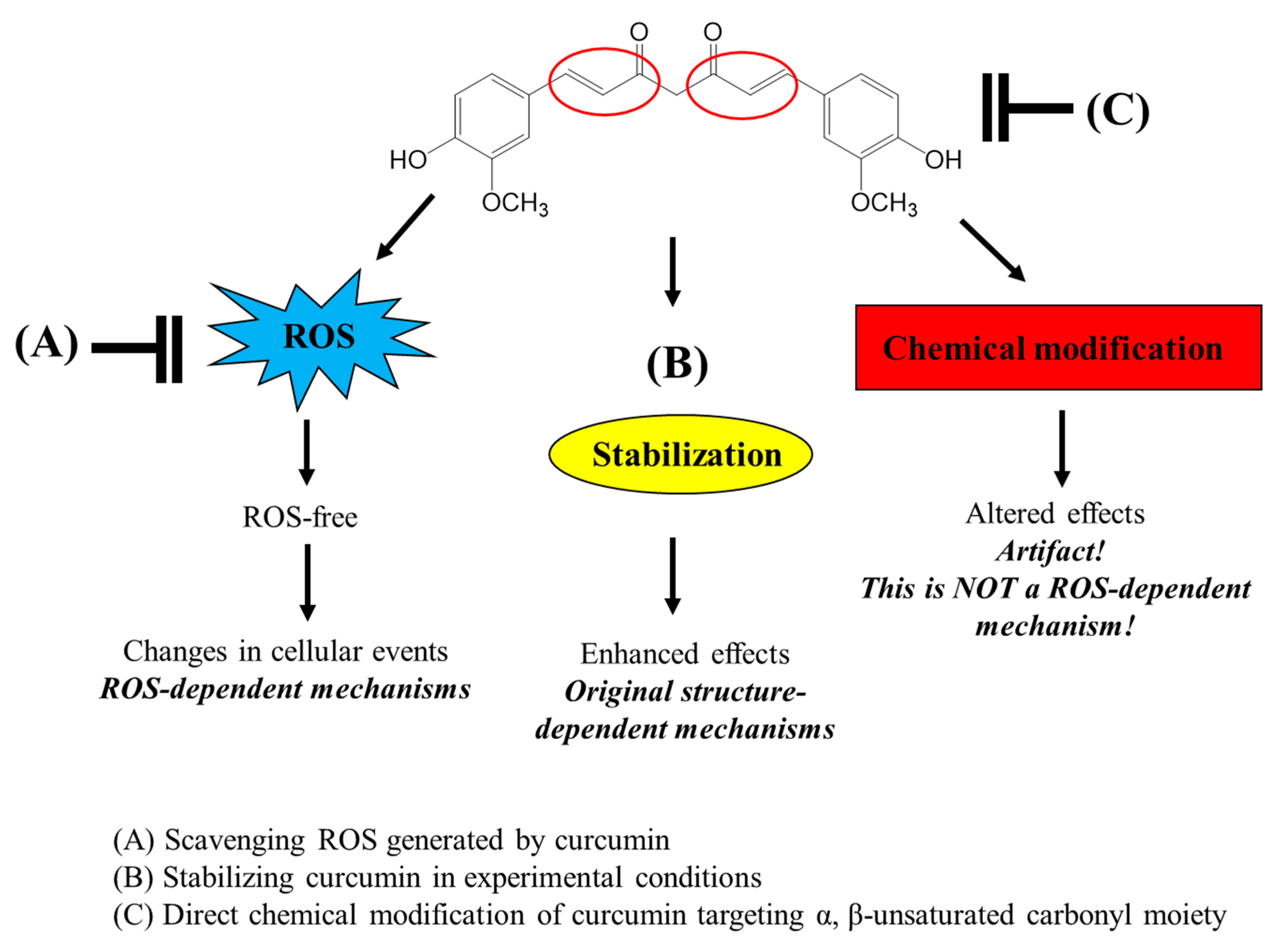 Molecules 28 07711 g008