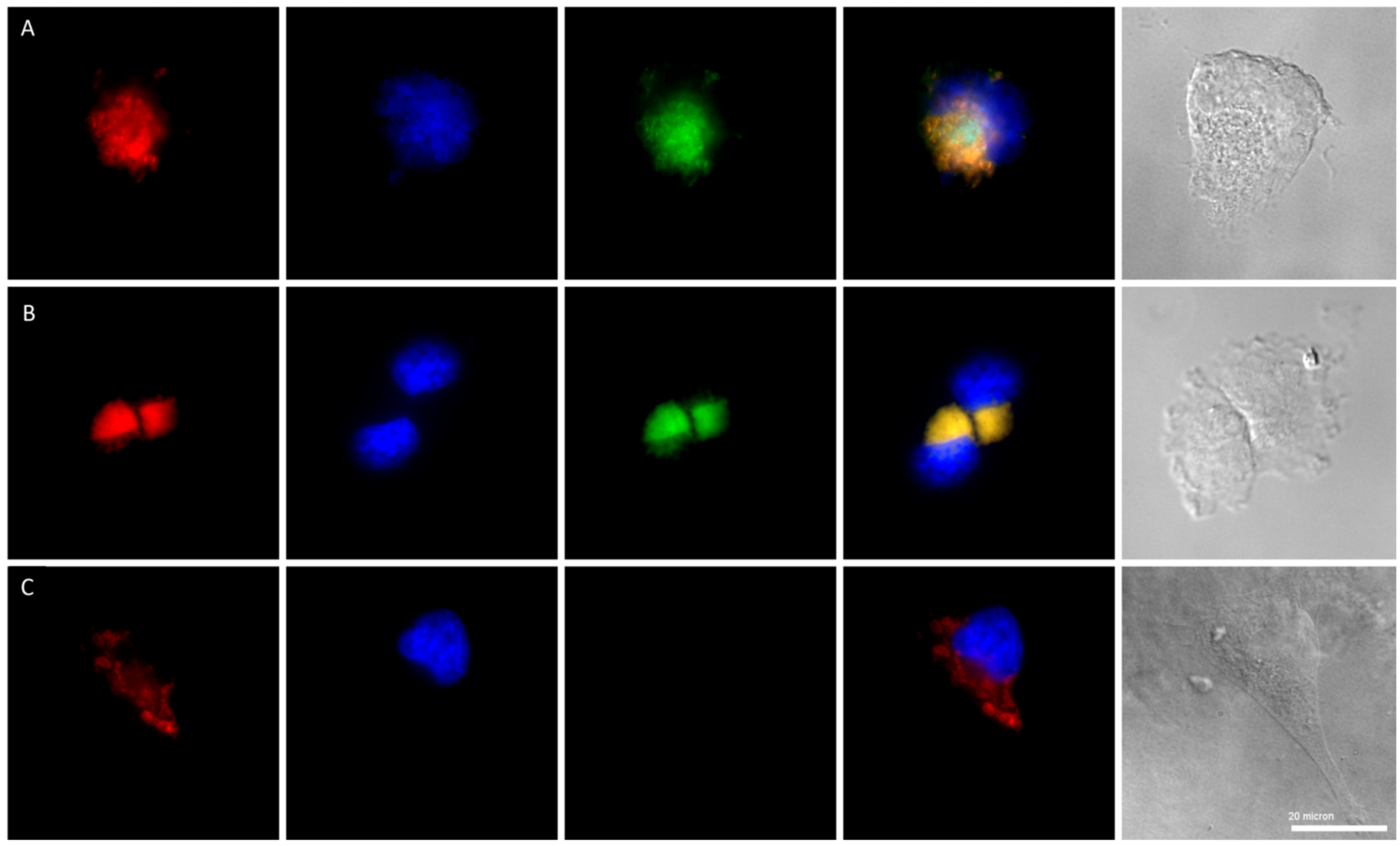 Molecules 28 07728 g002 Molecules 28 07728 g002