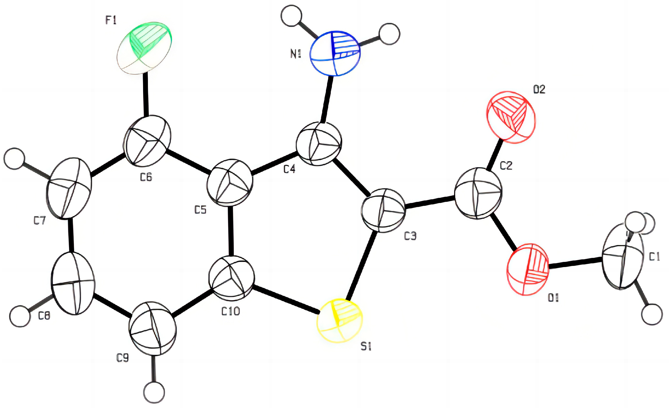 Molecules 28 07738 g003