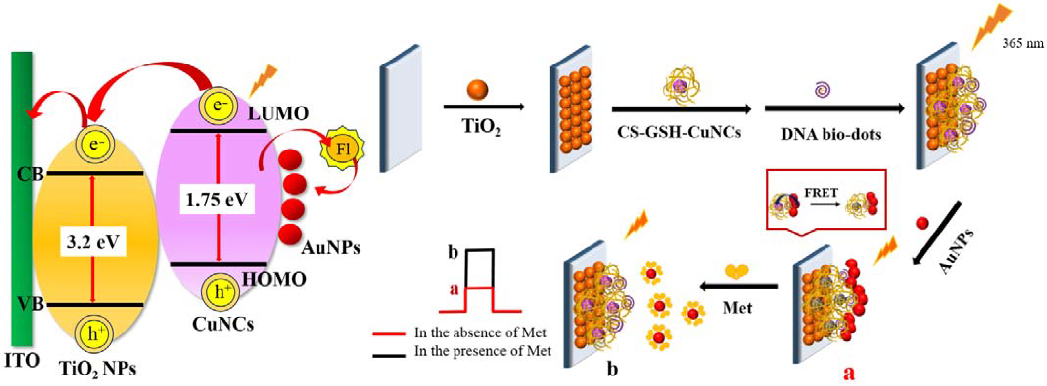 Molecules 28 07740 sch001