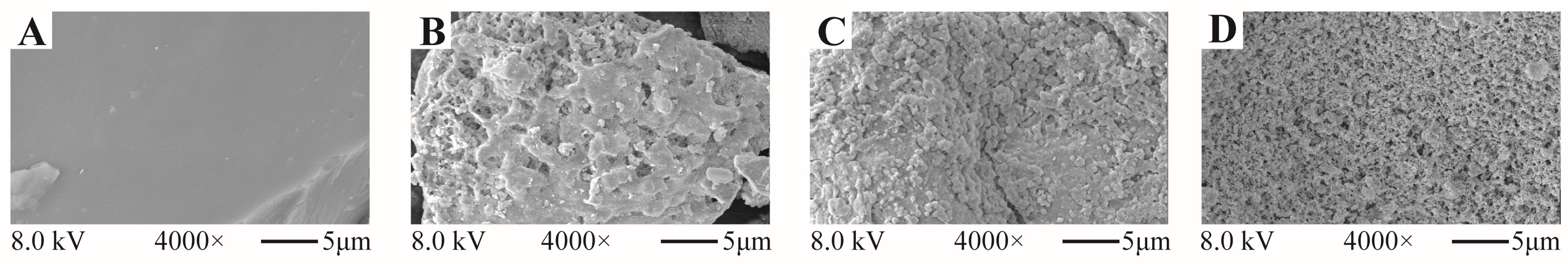 Molecules 28 07746 g004