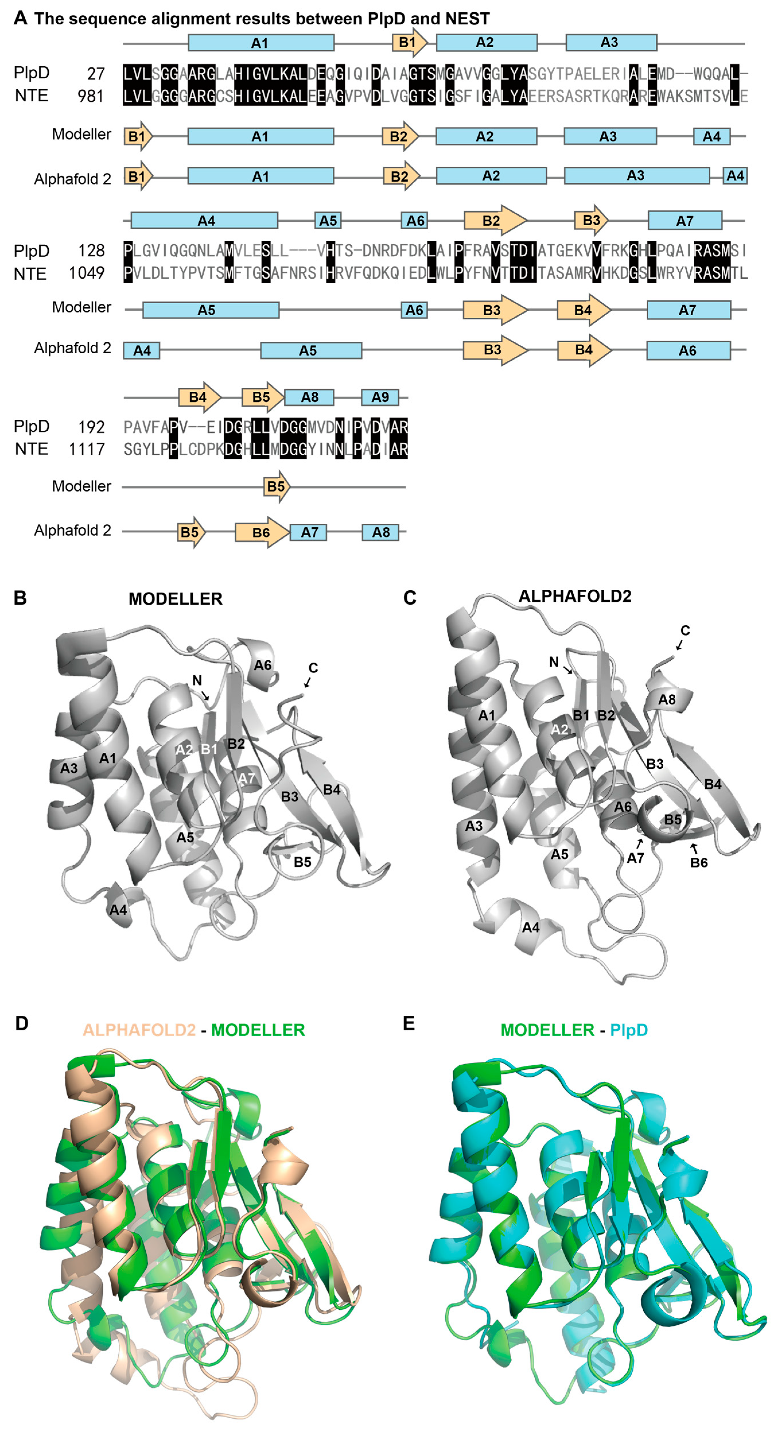 Molecules 28 07747 g001