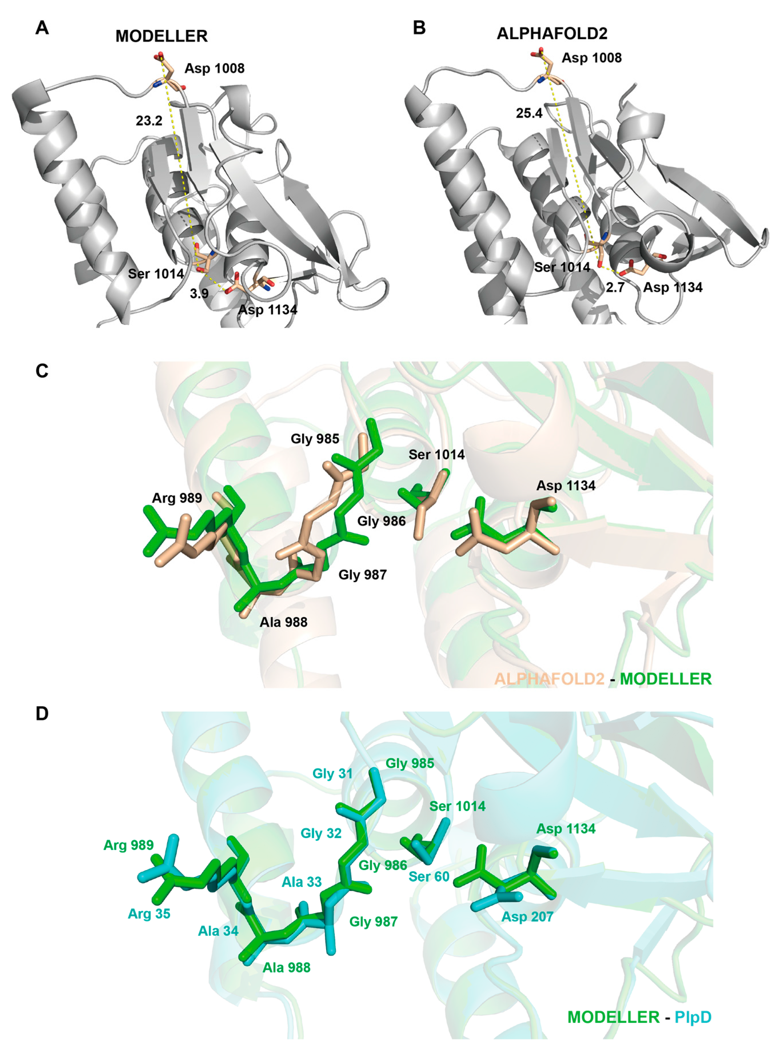 Molecules 28 07747 g003
