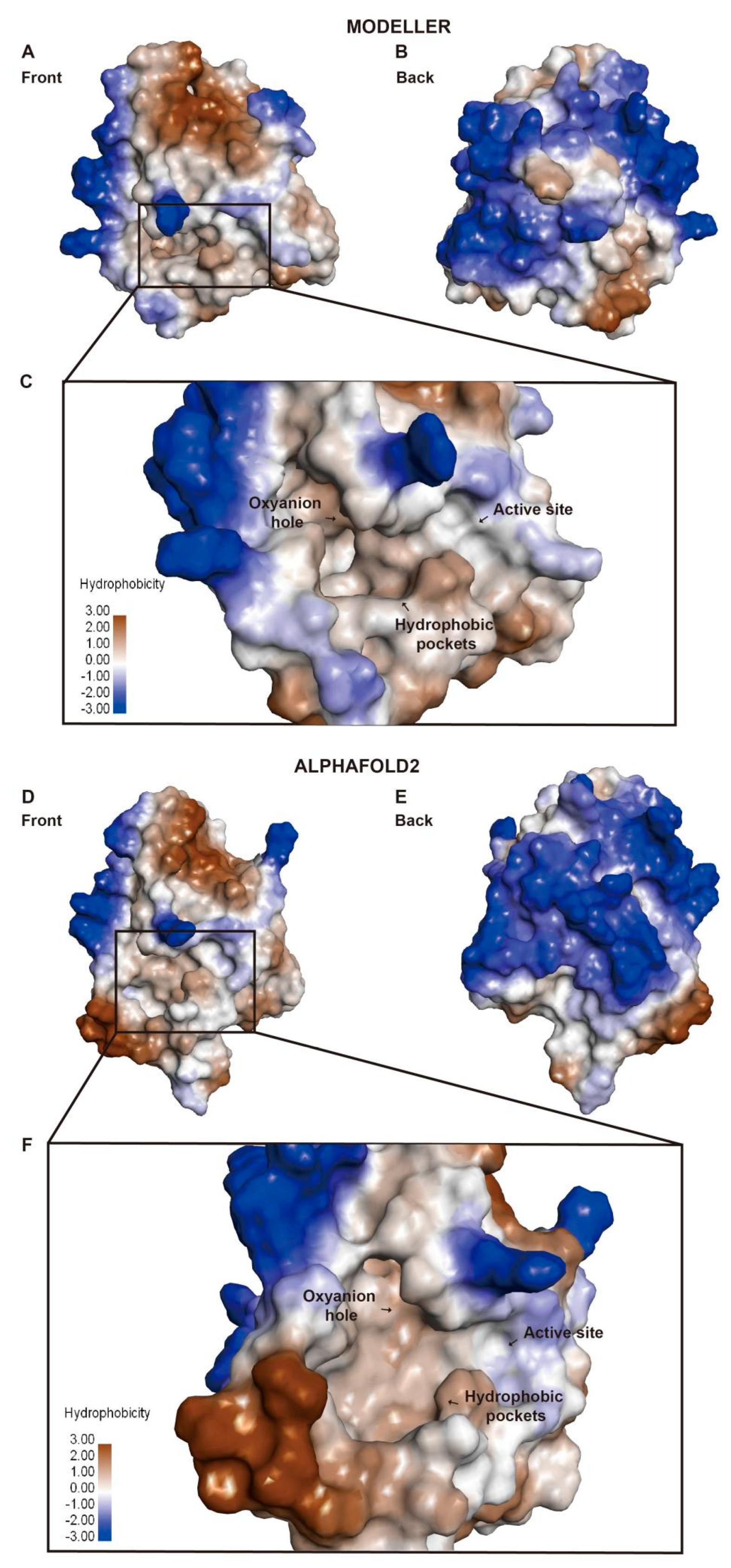 Molecules 28 07747 g004