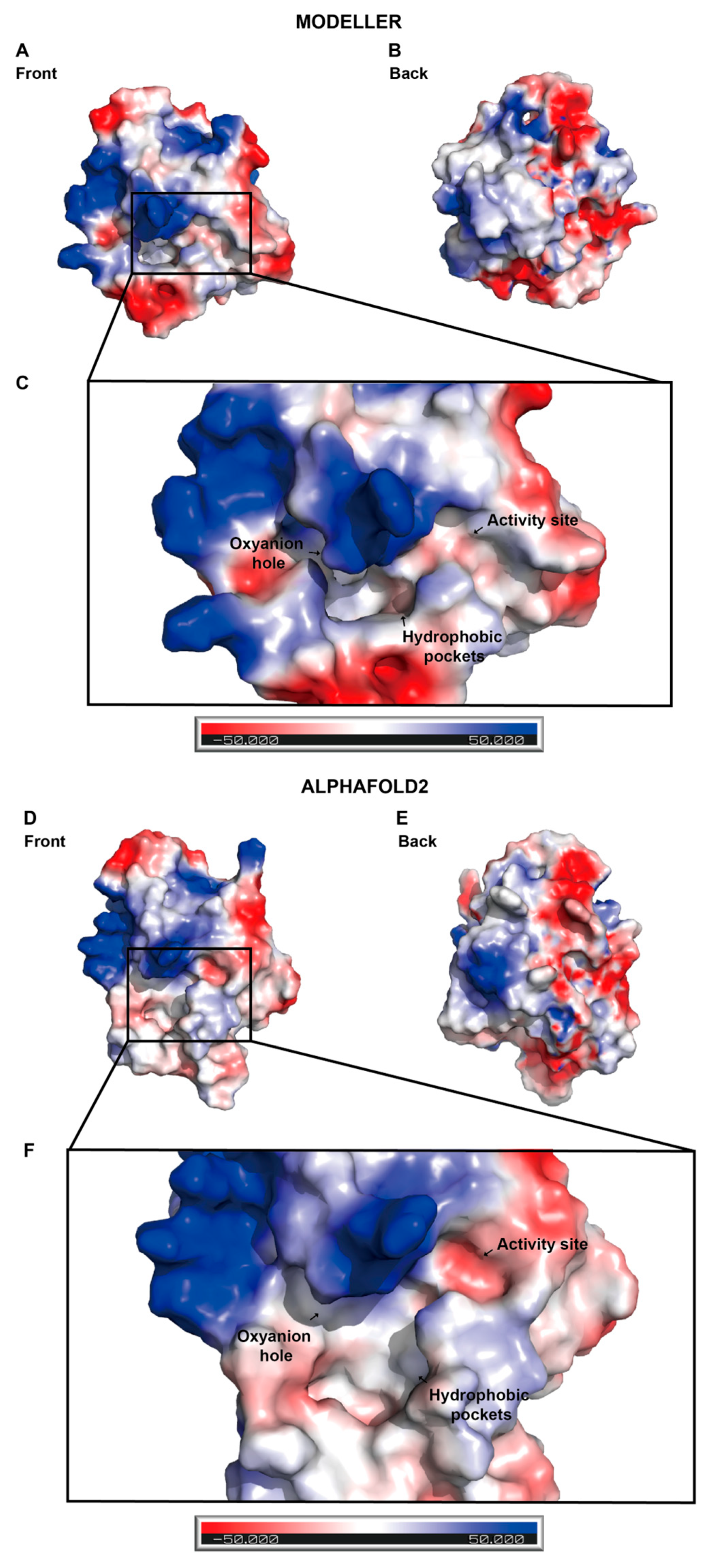 Molecules 28 07747 g005