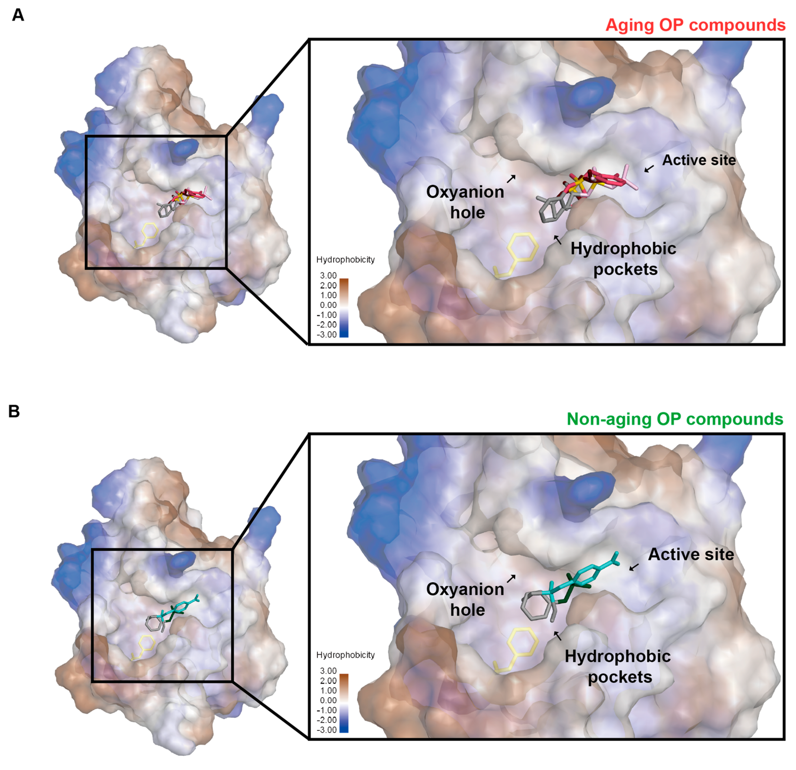 Molecules 28 07747 g007