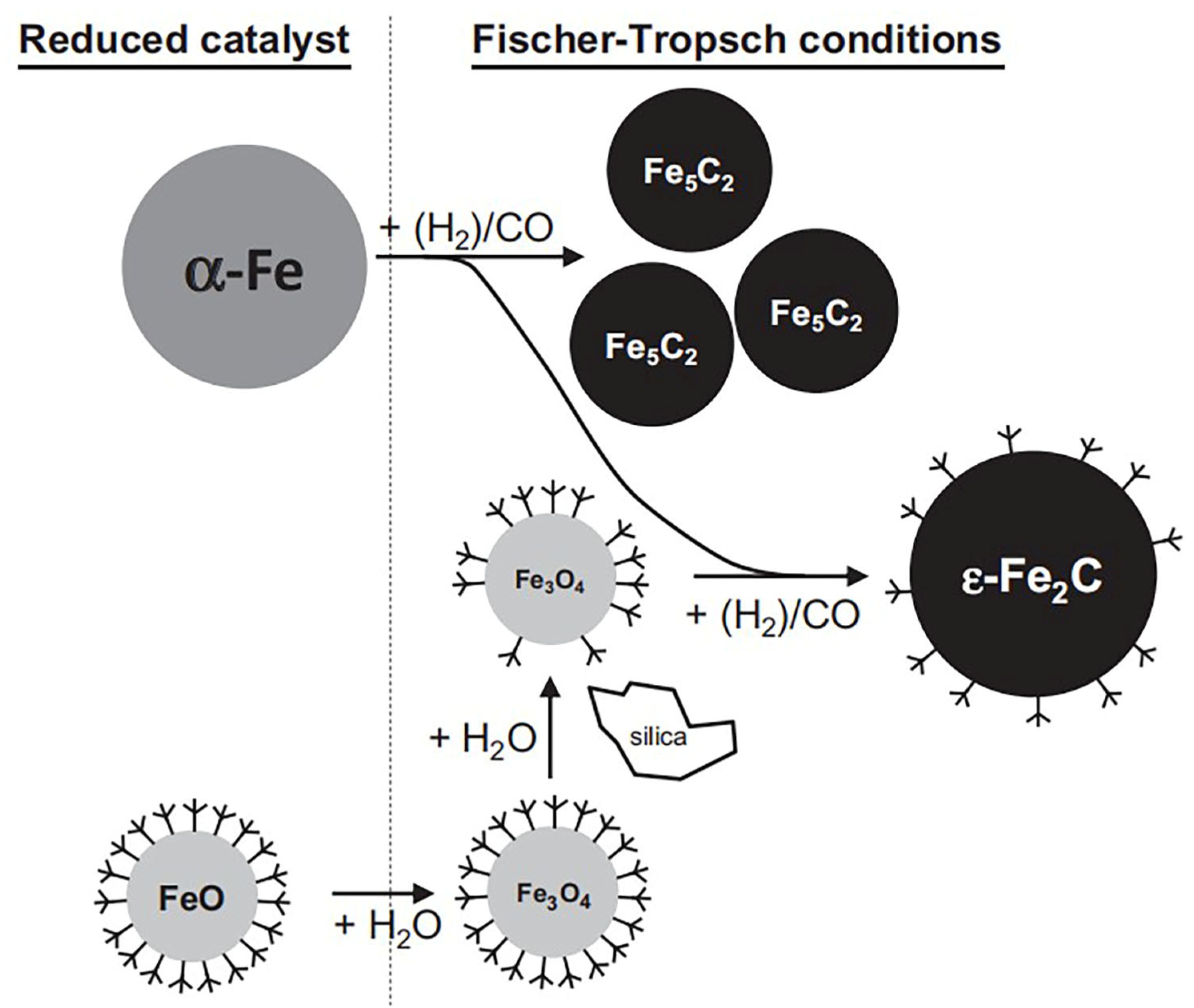 Molecules 28 07749 g002