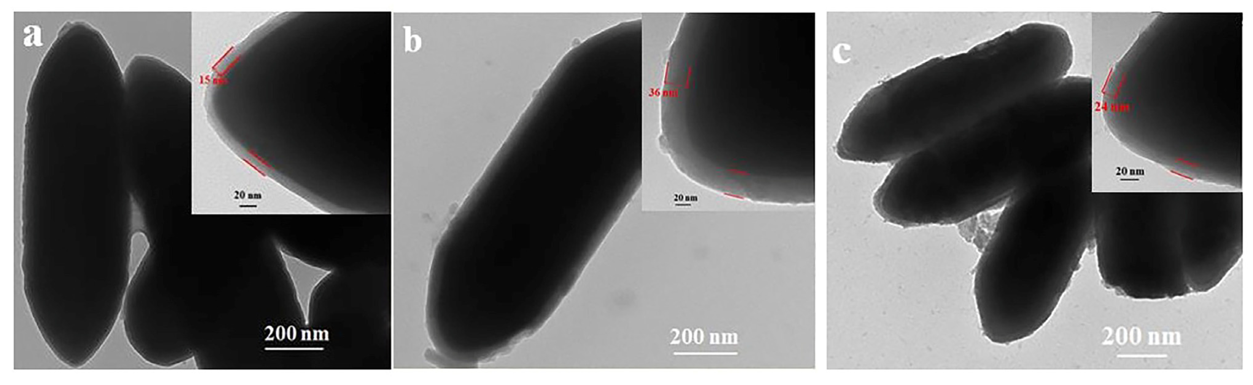 Molecules 28 07749 g014